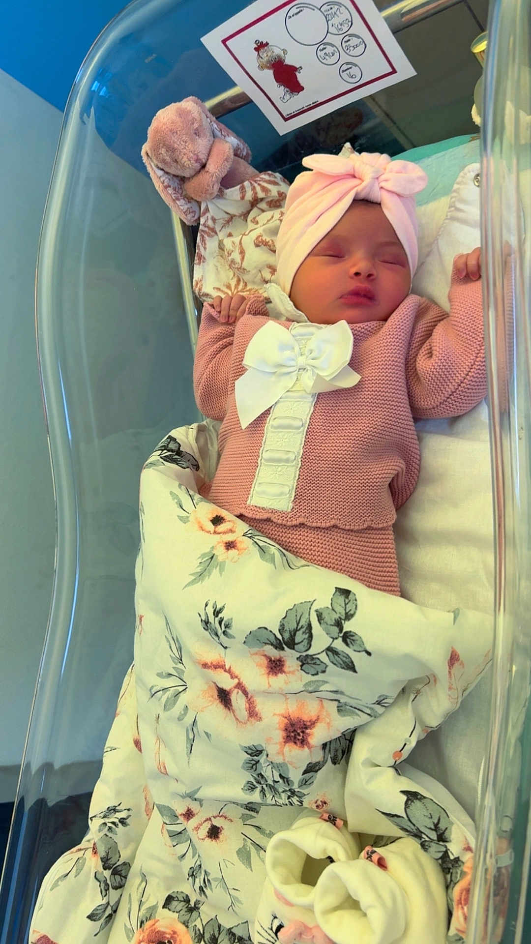 Zayna participe au concours pour gagner de l'argent avec cette photo : newborn, baby, sleeping, pink_clothing, headband, bow, blanket, floral_pattern, plush_toy, bunny, hospital_bassinet, hospital, crib, infant, soft_toy, baby_clothes, cute, peaceful, resting, indoors