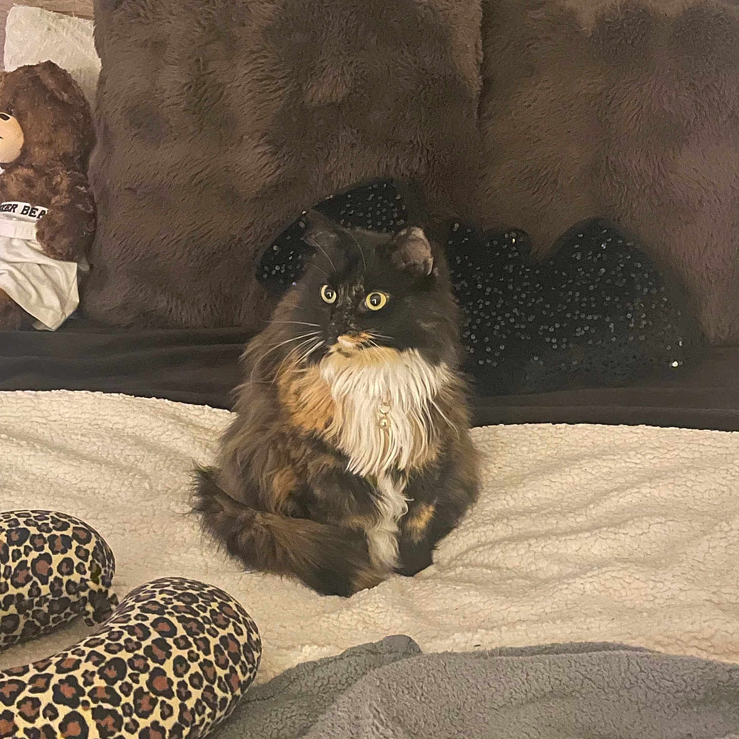 Iyla