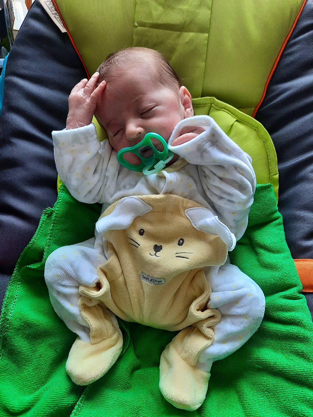 Amalia participe au concours pour gagner de l'argent avec cette photo : baby, baby_products, baby_toddler_clothing, chair, cheek, child, comfort, foot, grass, green, happy, head, lap, linens, person, sitting, skin, toddler