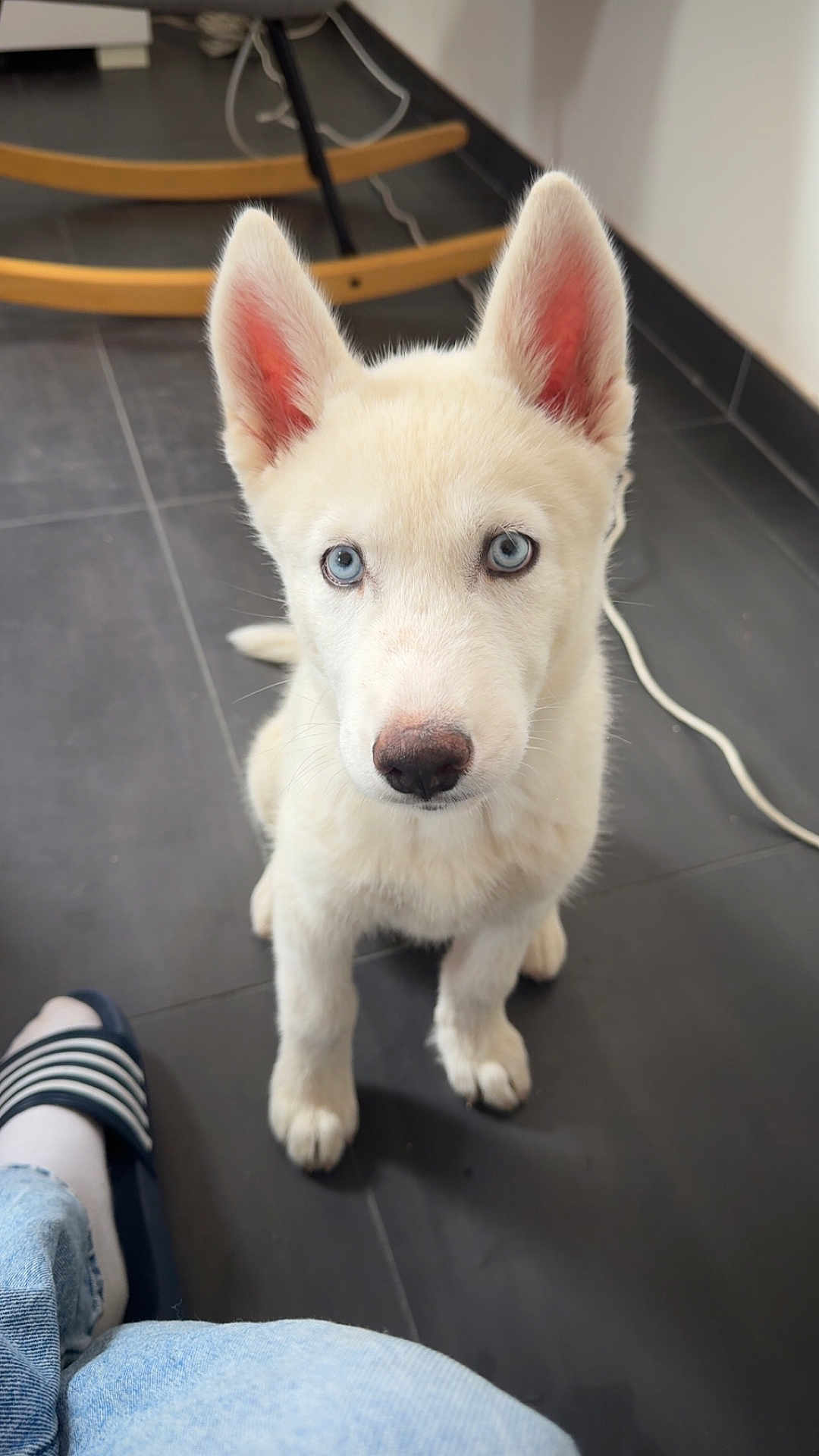 Kira