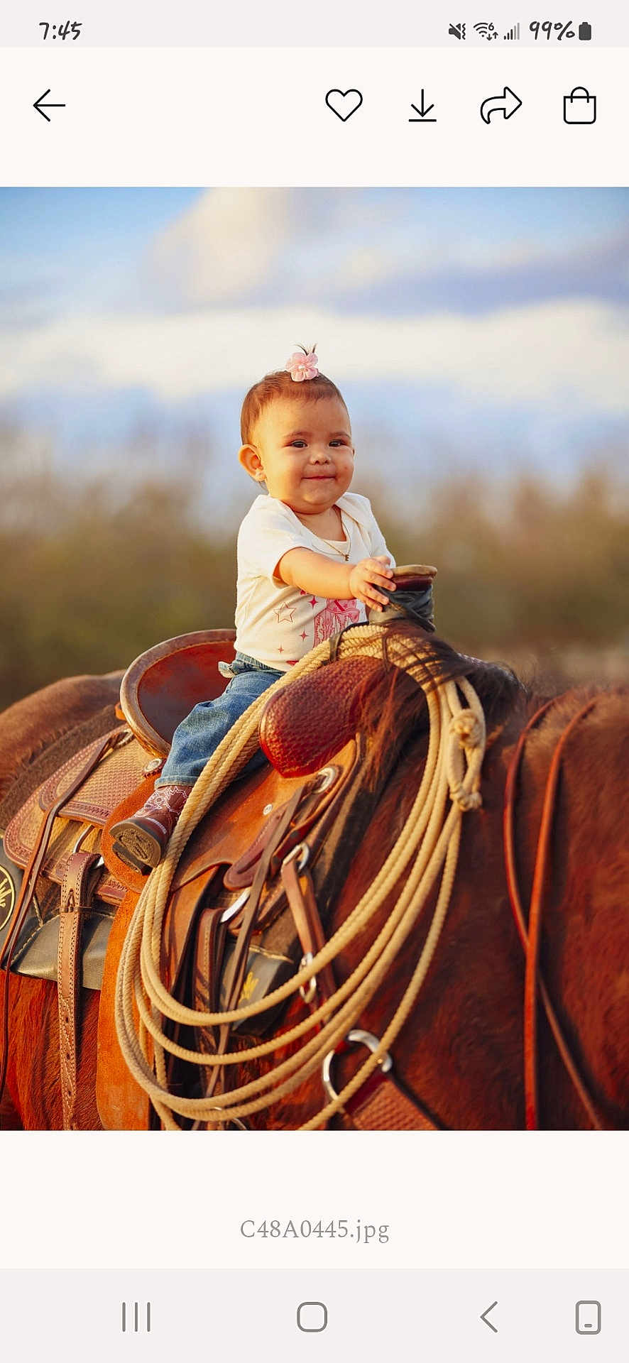 Everly is registered to the contest to win money with this photo: accessories, animal, baby, clothing, colthorse, equestrian, face, hat, head, helmet, horse, pants, person, photography, portrait, rodeo, rope, saddle, strap, sunhat