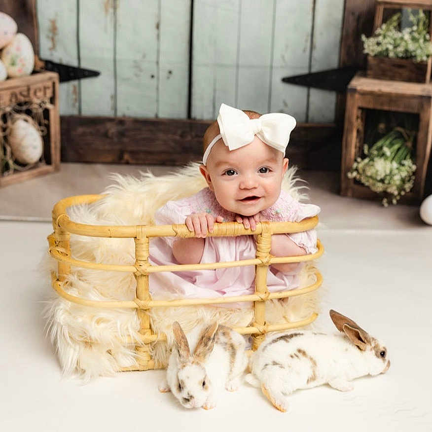 Harper joined the competition — help win amazing prizes! baby, bow, basket, rabbit, animal, fluffy, easter_eggs, decor, wooden_crate, pastel_colors, floor, cute, infant, smile, pink_dress, headband, indoor, pet, fur, holiday