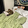 bed, blanket, cat, cozy, curtain, framed_picture, furniture, green_blanket, indoor, patterned_wall_hanging, person, pillow, relaxed, resting, sleeping, tabby_cat, tapestry, tattoo, wall, white_pillow