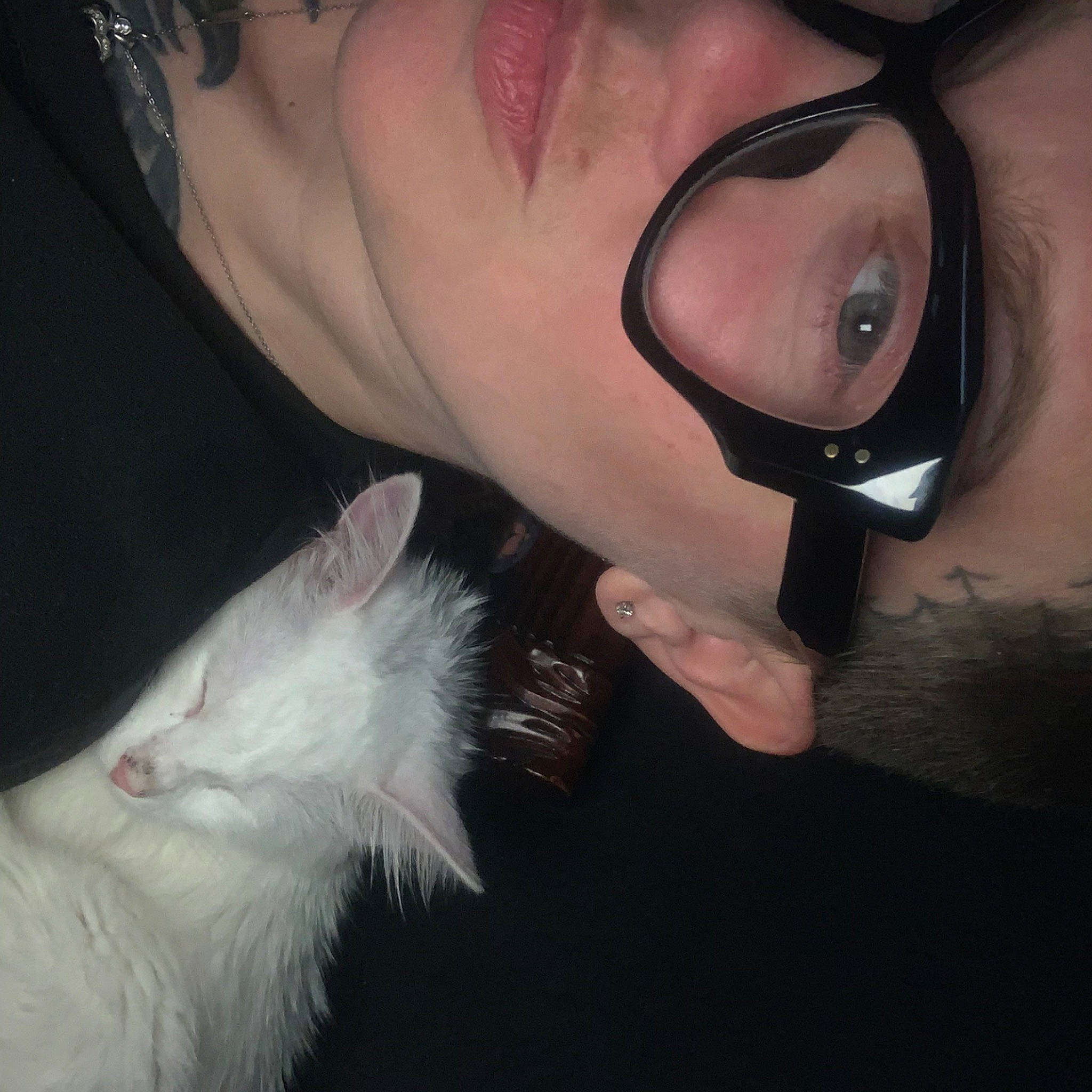 Rune is registered to the contest to win money with this photo: cheek, ear, eye, eyebrow, eyewear, face, facial_hair, fur, gesture, glasses, head, lip, mouth, neck, nose, organ, photography, selfie, skin, whiskers