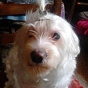 Daisy participe au concours pour gagner de l'argent avec cette photo :