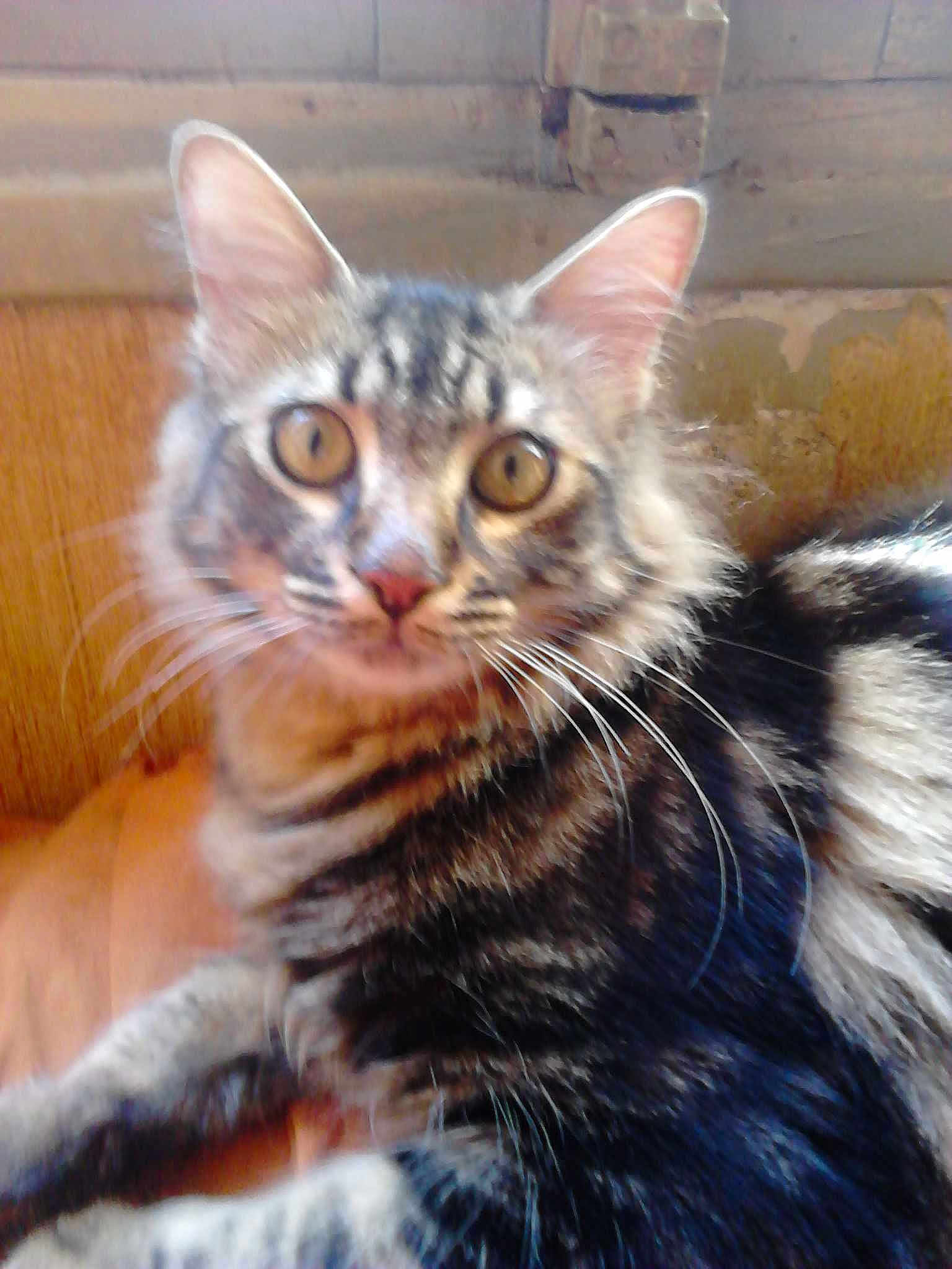 Billy