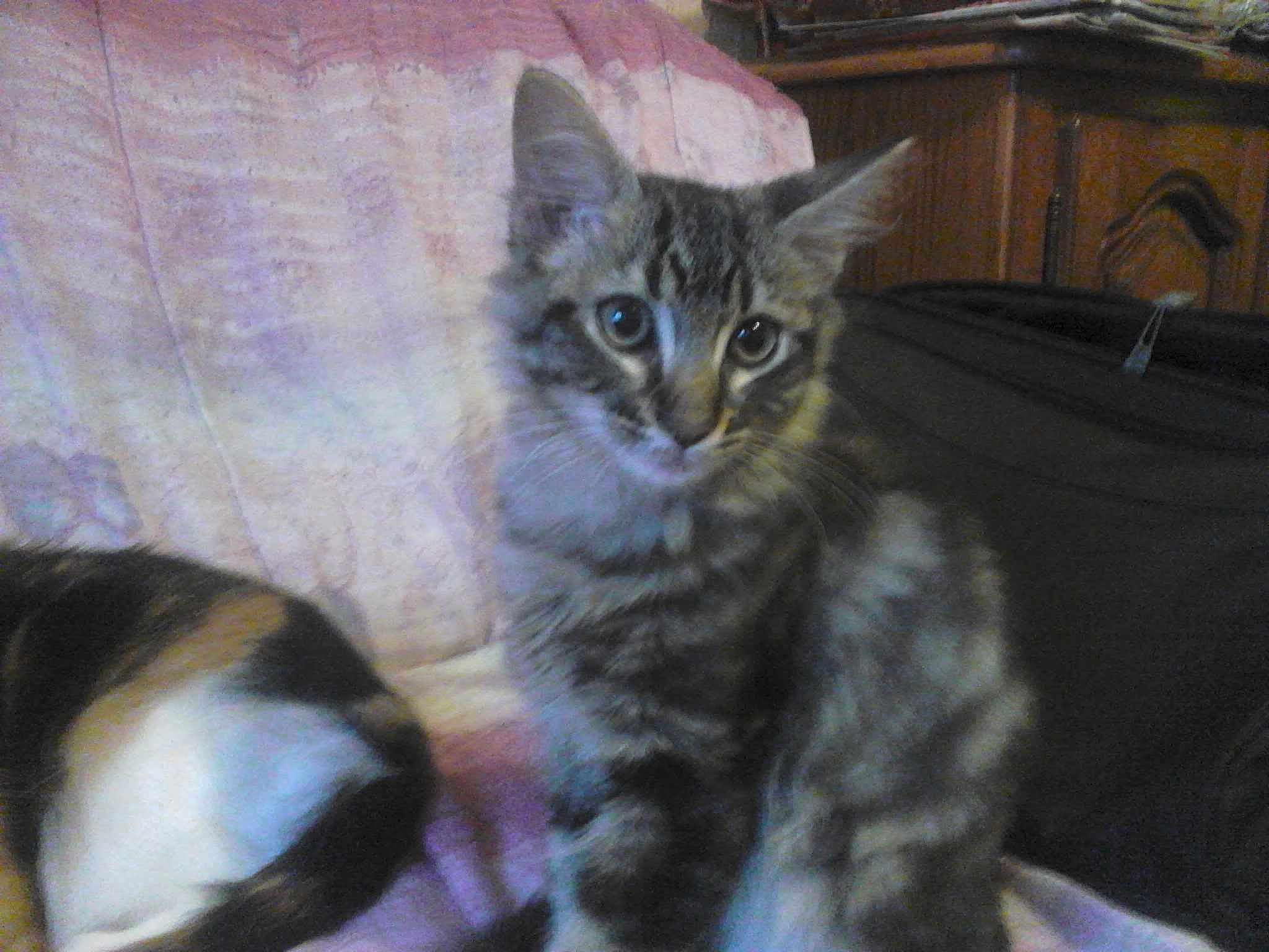 Billy