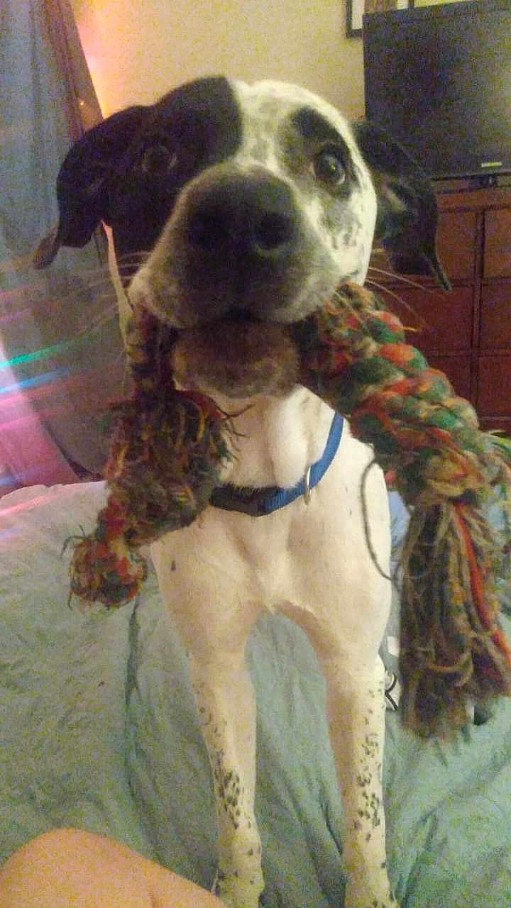 Sammy