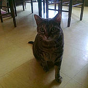 Carina participe au concours pour gagner de l'argent avec cette photo :