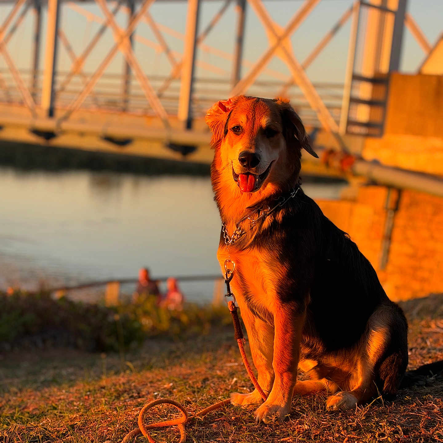 Sam