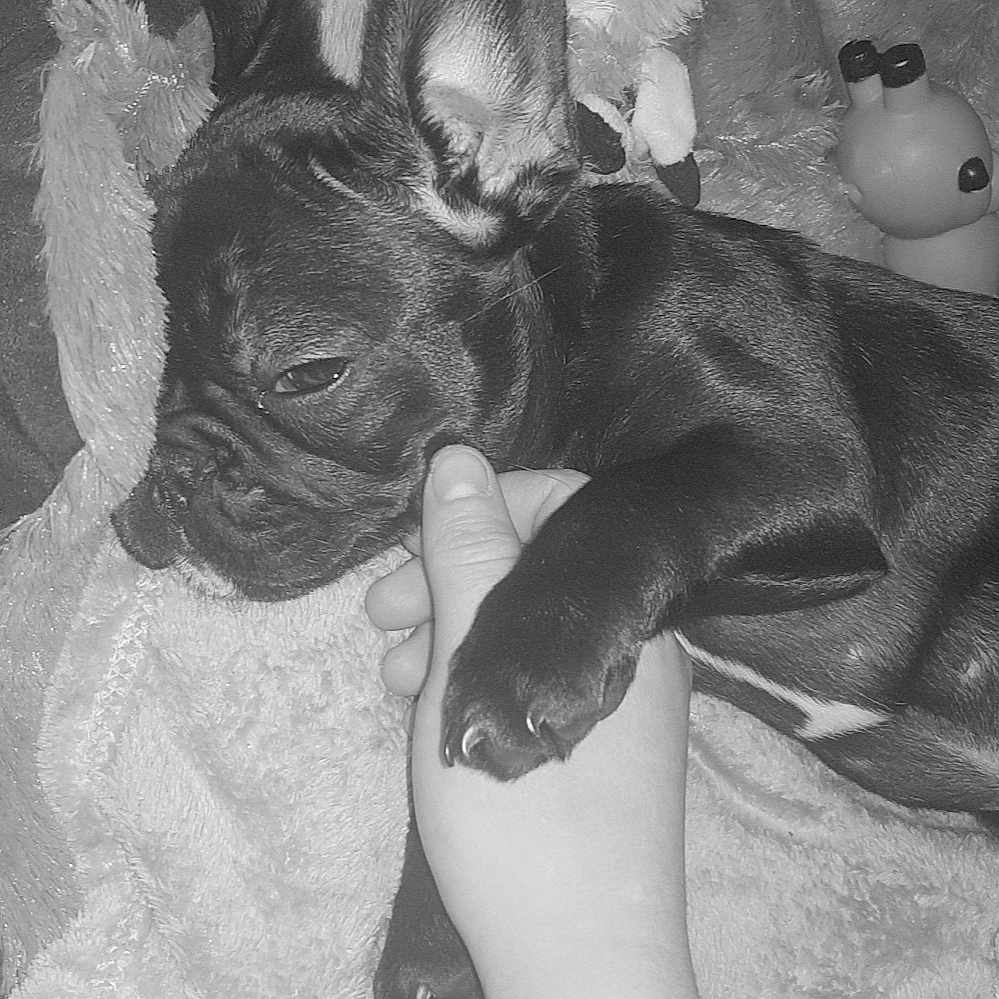 Pixele