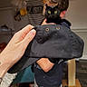 Eddie is registered to the contest to win money with this photo: black_cat, cat, person, hand, baseball_cap, indoor, yellow_eyes, furniture, decor, blurred_background, holding, clothing, short_hair, animal, pet, face, human, patterned_pants, wooden_furniture, floor