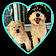 Archie And Petunia