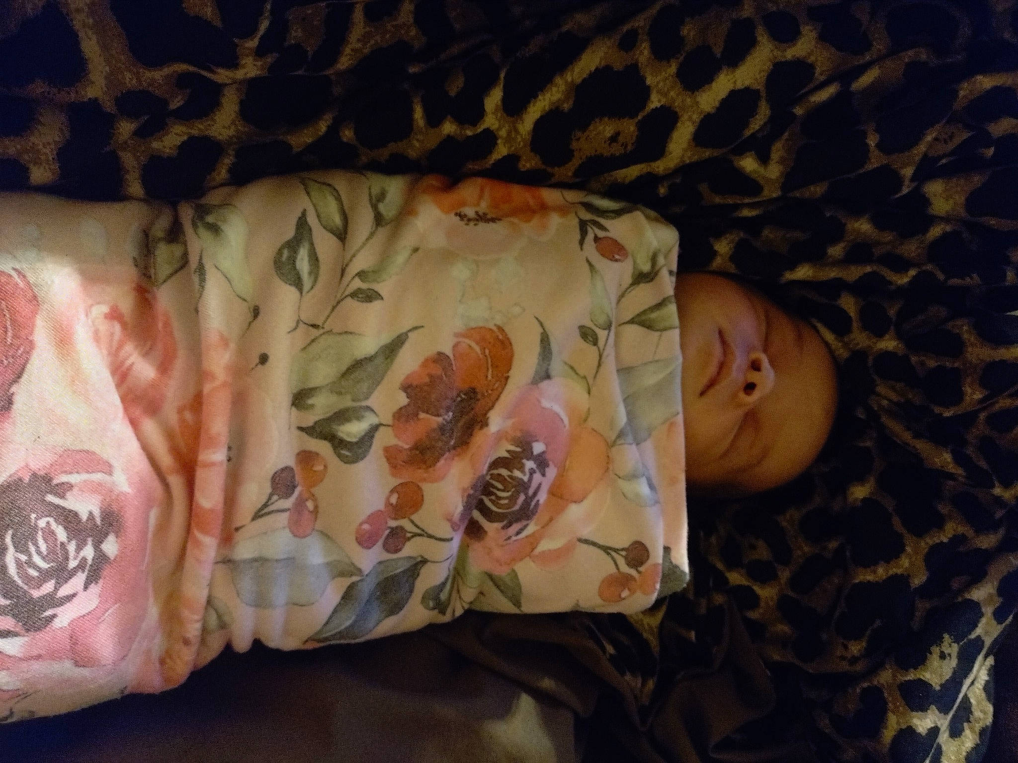 Ari joined the competition — help win amazing prizes! arm, baby, baby_toddler_clothing, comfort, flower, hand, head, human_body, linens, mammal, military_camouflage, organ, pattern, person, petal, plant, rose, skin, sleeve, textile
