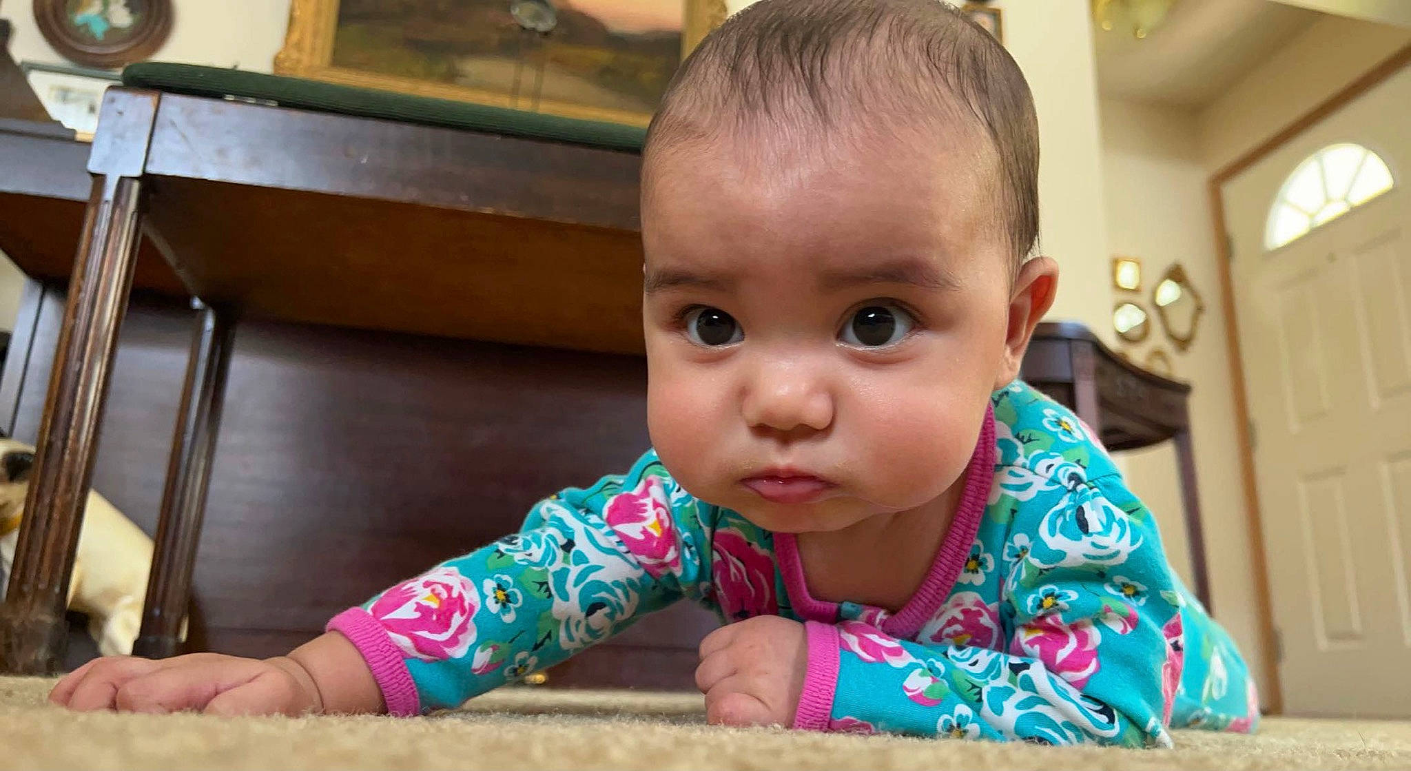 Jaslene joined the competition — help win amazing prizes! baby, baby_toddler_clothing, cheek, child, finger, flooring, fun, happy, head, iris, leisure, nose, person, play, room, sitting, skin, smile, toddler, tummy_time