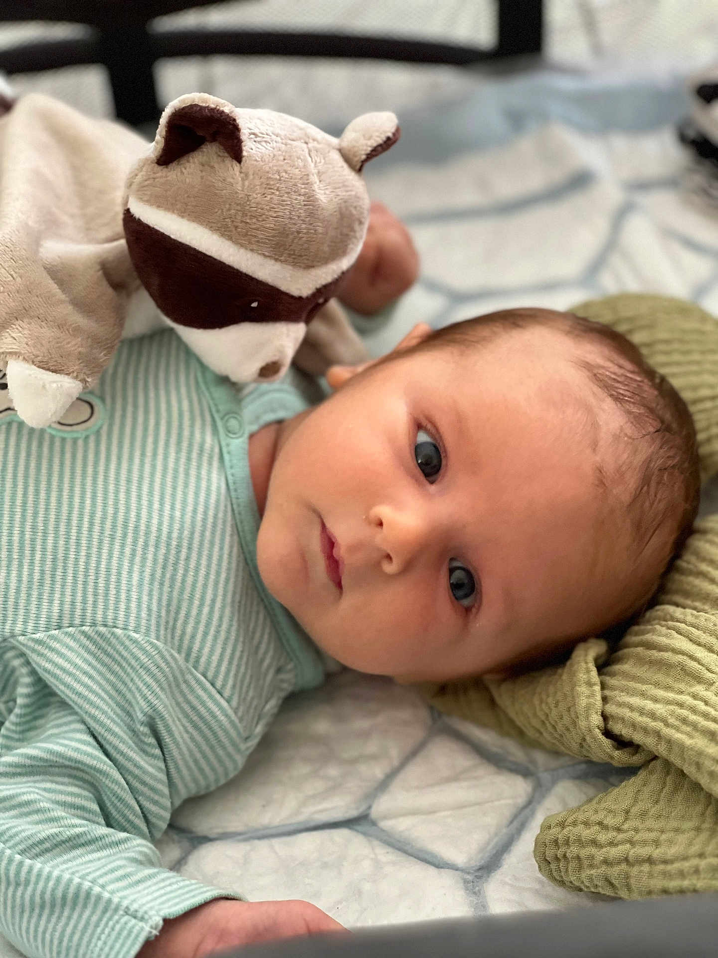 Léandre participe au concours pour gagner de l'argent avec cette photo : baby, infant, plush_toy, raccoon, onesie, striped_clothing, blue_eyes, blanket, quilt, soft_toy, lying_down, close_up, child, cute, indoor, portrait, baby_girl, baby_boy, cozy, warm