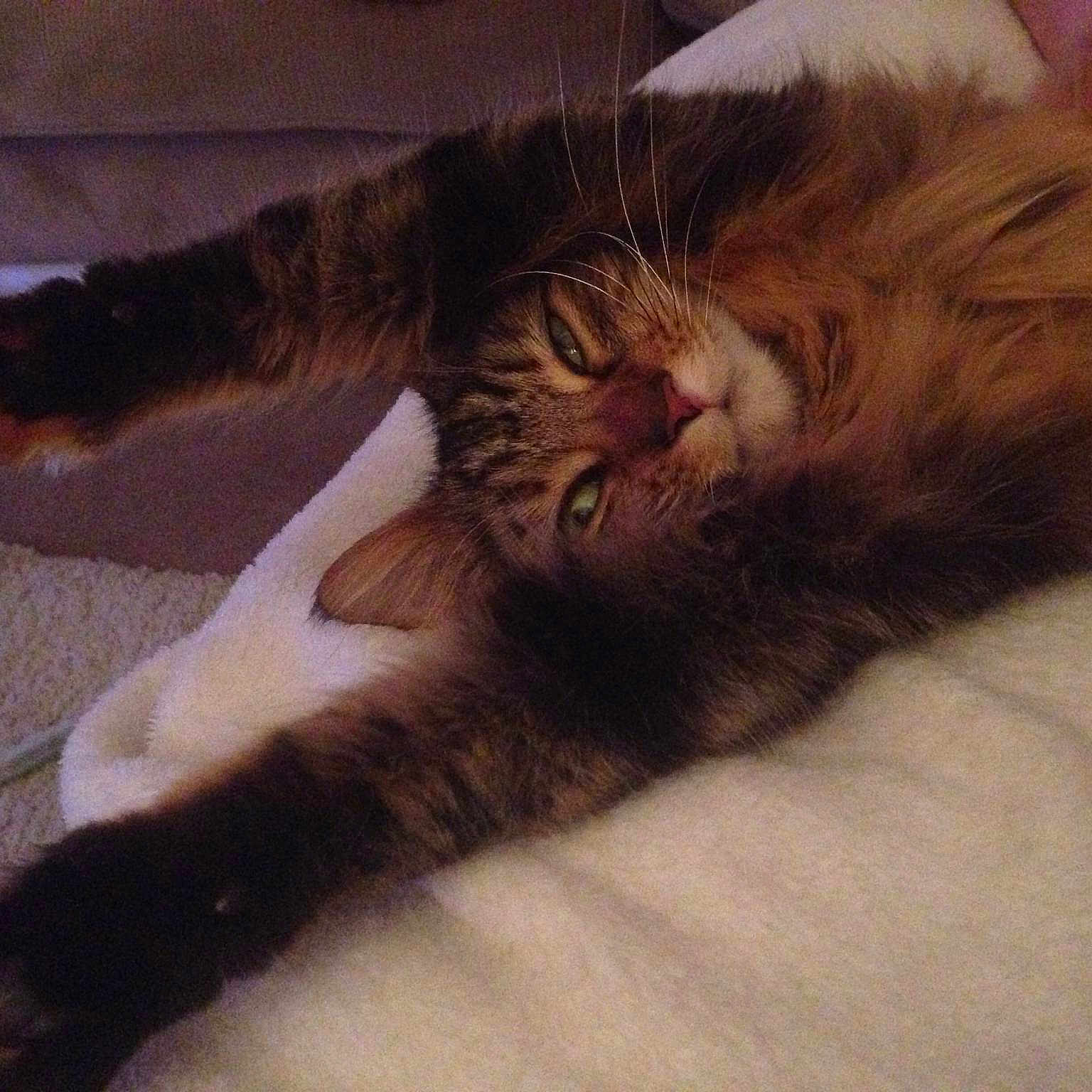 Melody is registered to the contest to win money with this photo: