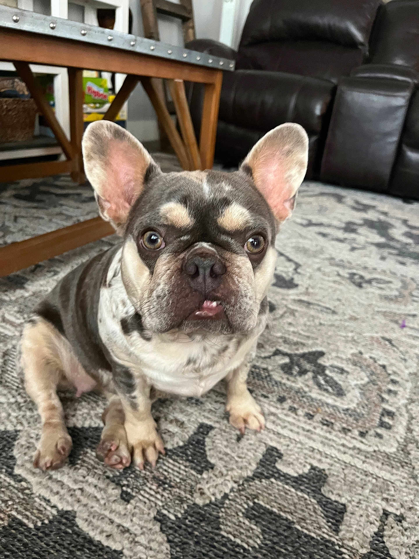 Tootsie