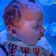 Liliana Rose joined the competition — help win amazing prizes! aquarium, baby, blue_light, casual_clothing, child, curiosity, curly_hair, cute, indoor, jellyfish, marine_life, person, portrait, profile, red_lobster_shirt, side_view, soft_lighting, toddler, water_creatures, young_child