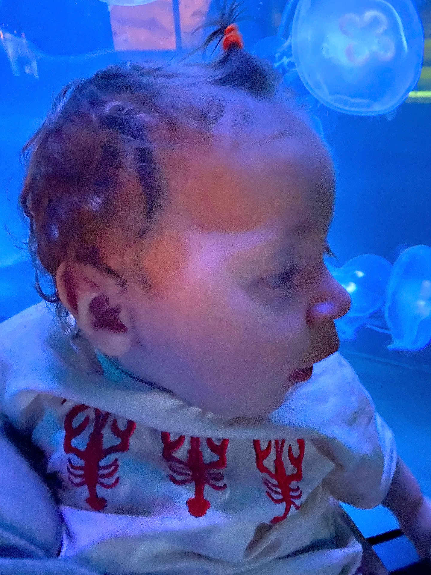 Liliana Rose joined the competition — help win amazing prizes! aquarium, baby, blue_light, casual_clothing, child, curiosity, curly_hair, cute, indoor, jellyfish, marine_life, person, portrait, profile, red_lobster_shirt, side_view, soft_lighting, toddler, water_creatures, young_child