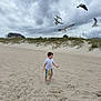 Memphis joined the competition — help win amazing prizes! child, beach, sand, seagulls, cloudy_sky, barefoot, colorful_clothing, grass, house, outdoor, nature, shoreline, sky, bird, vacation, summer, playful, daytime, landscape, coast