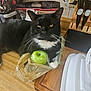 animal, apple, black_and_white_cat, cat, cutting_board, domestic_cat, food, fur, green_apple, household, indoor, kitchen_counter, kitchen_utensils, knife_block, pet, plastic_bag, still_life, table_surface, unimpressed_cat, whiskers
