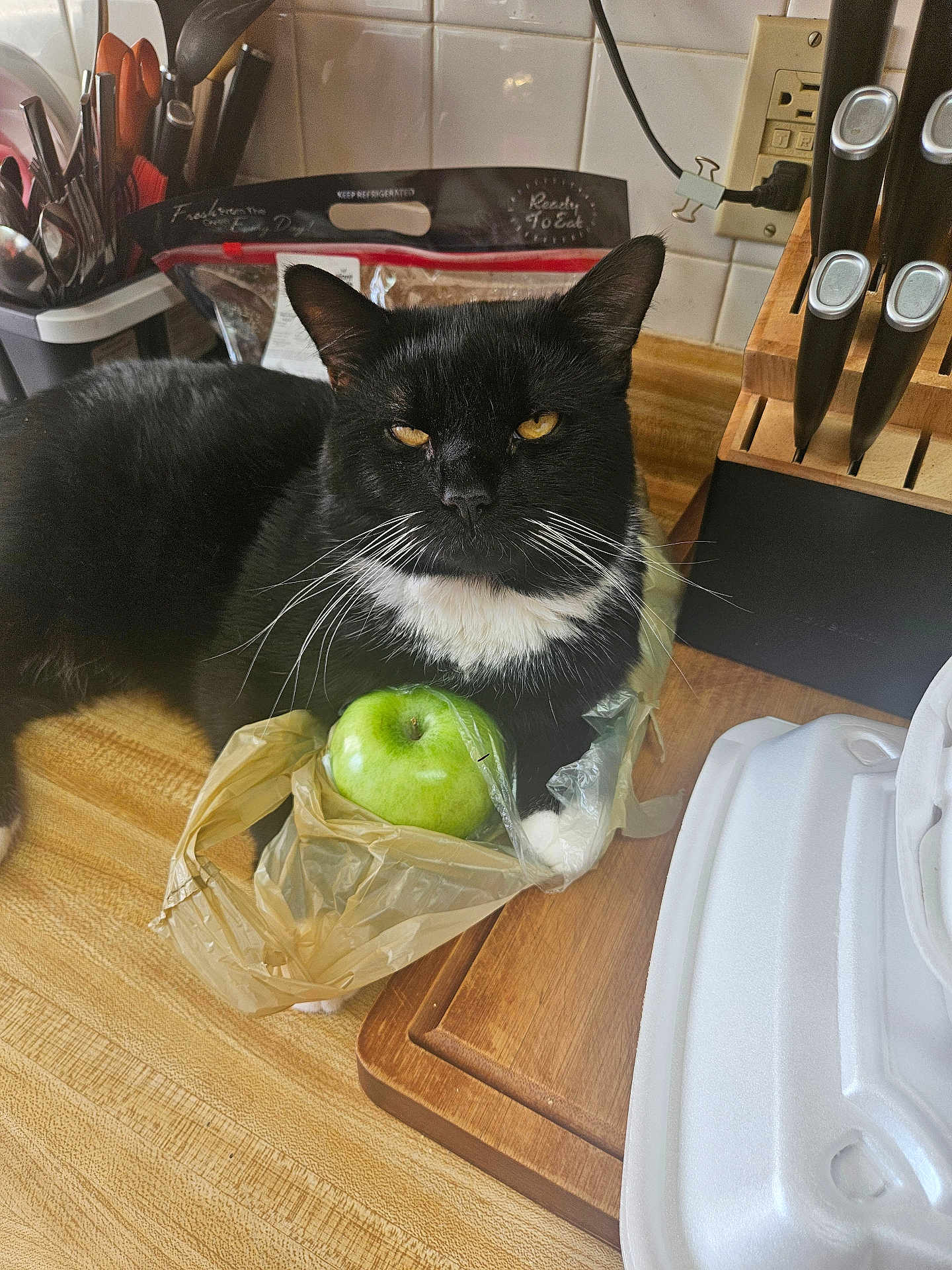 Meowster Splinter is registered to the contest to win money with this photo: cat, black_and_white_cat, apple, green_apple, plastic_bag, kitchen_counter, knife_block, kitchen_utensils, cutting_board, domestic_cat, whiskers, pet, indoor, unimpressed_cat, table_surface, household, food, still_life, fur, animal