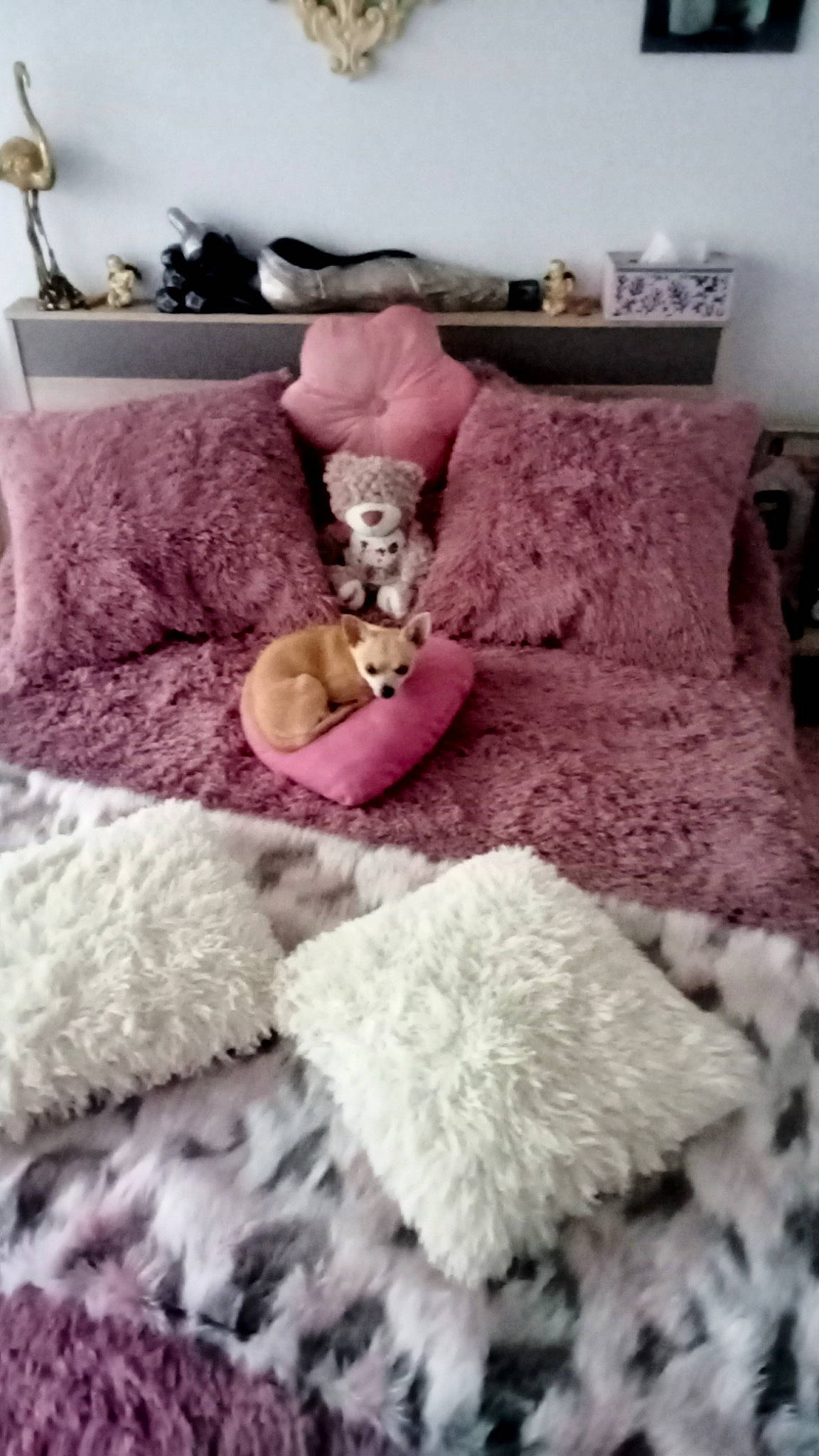 Tobi a rejoint le concours — aidez-le/la à gagner de superbes lots ! bedding, comfort, creative_arts, fashion_accessory, flooring, font, fur, grey, hat, linens, magenta, natural_material, pattern, pink, purple, textile, violet, wood, wool, woolen