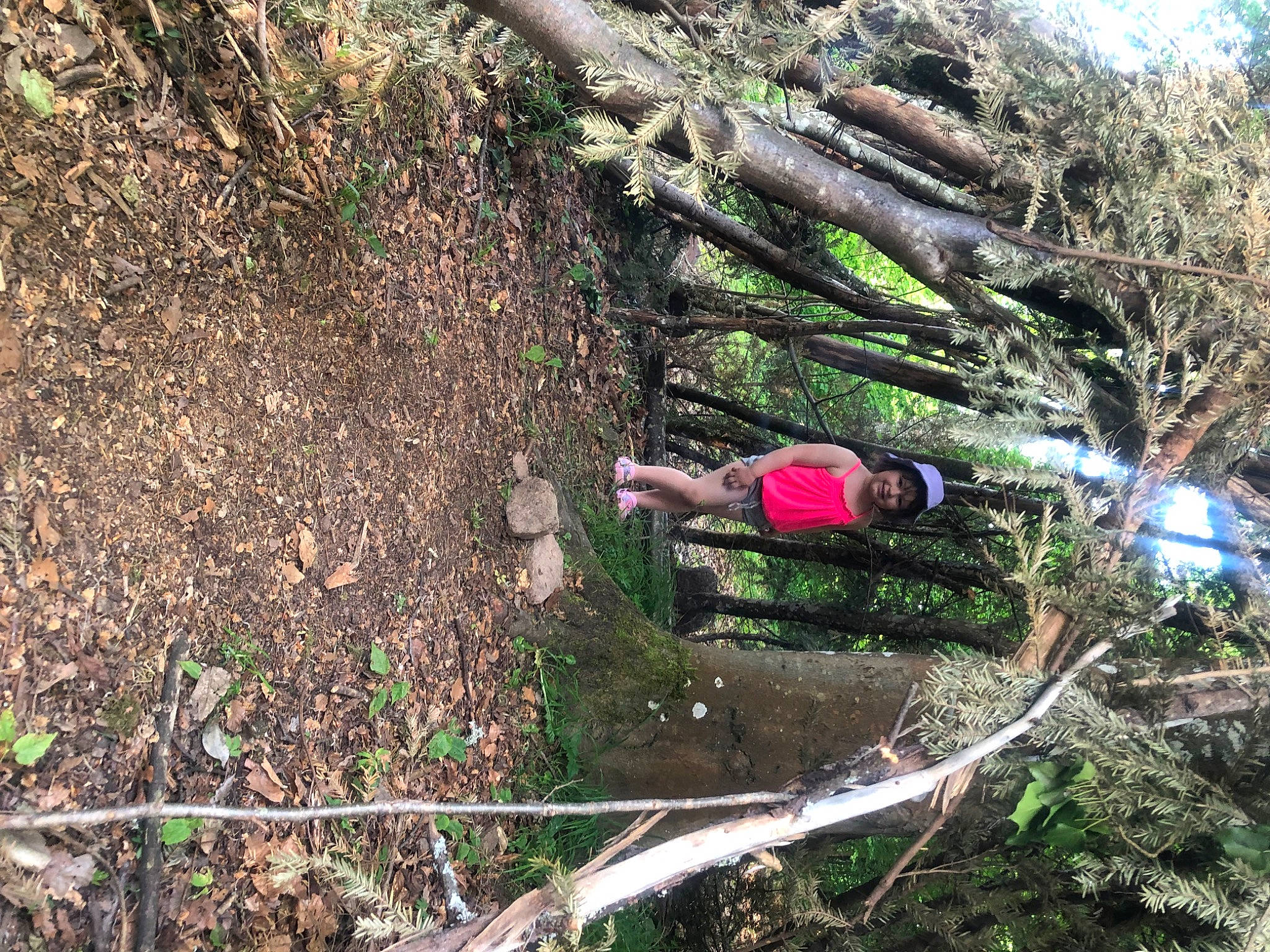 Louna a rejoint le concours — aidez-le/la à gagner de superbes lots ! adventure, branch, forest, grass, groundcover, joy, jungle, leisure, old_growth_forest, people_in_nature, person, plant, plant_community, recreation, soil, terrestrial_plant, tree, trunk, twig, wood