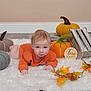 baby, infant, orange_sweater, felt_pumpkin, autumn_leaves, white_rug, wooden_crate, five_months_sign, floor, indoor, cute, child, portrait, seasonal, fall_decor, soft_toys, head_up, looking_at_camera, home, toddler