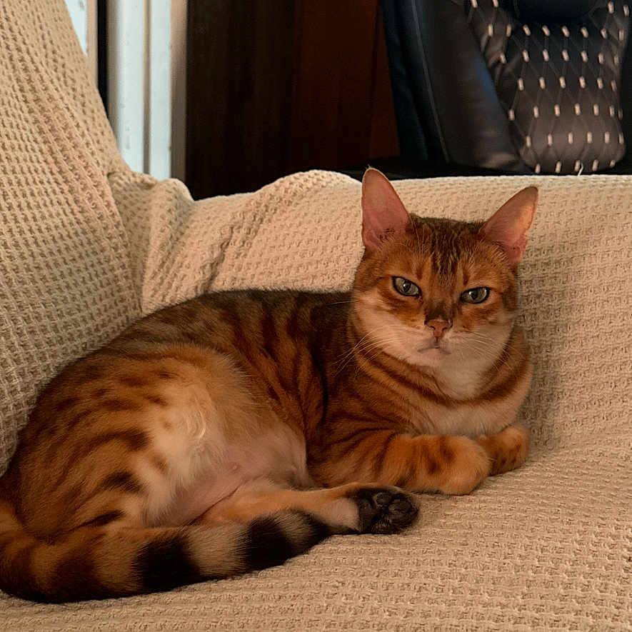 Maggie