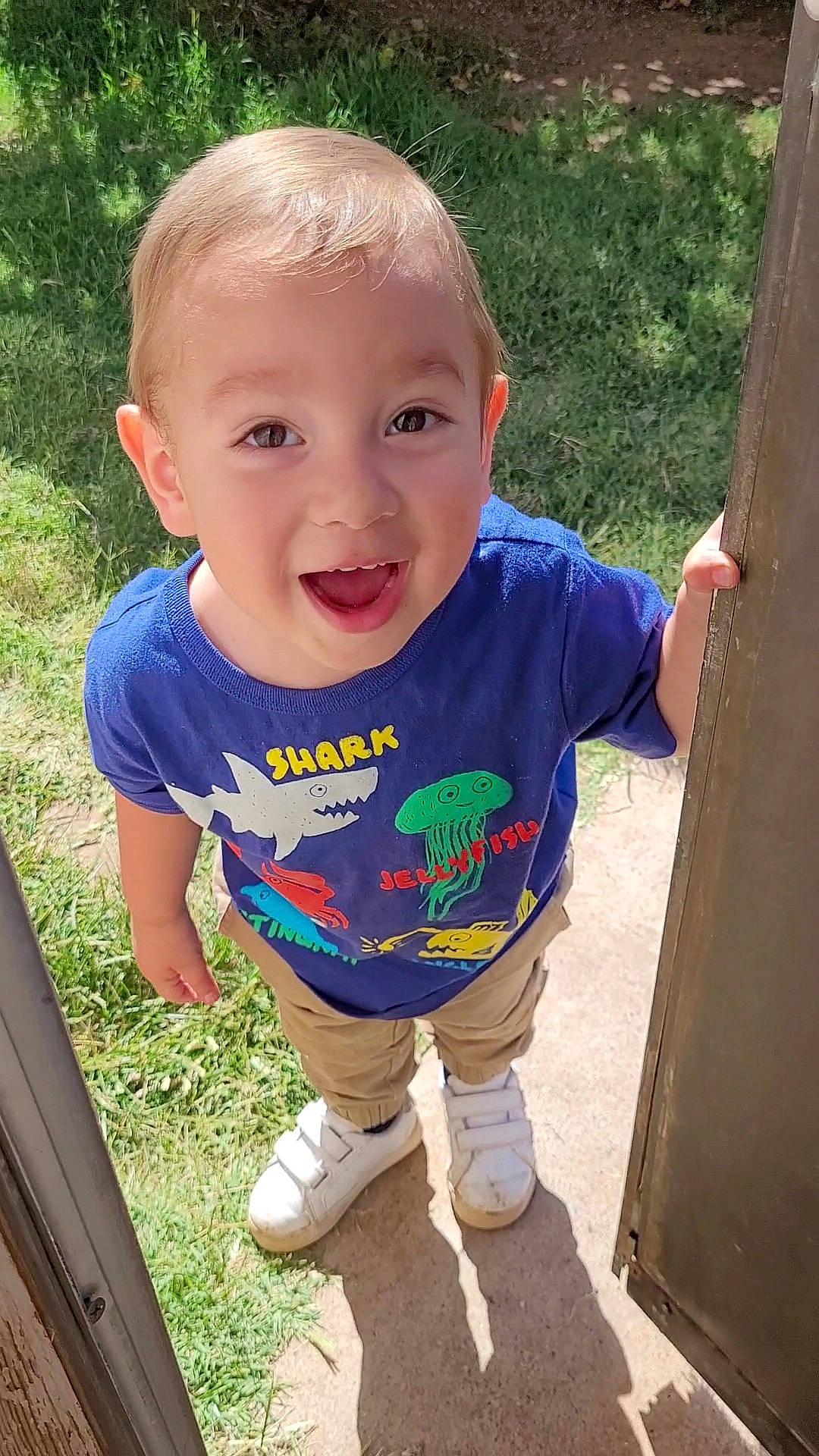 Levi is registered to the contest to win money with this photo: baby, baby_toddler_clothing, cheek, chin, cool, finger, fun, grass, happy, head, iris, leisure, mouth, nose, person, skin, sleeve, smile, standing, t_shirt