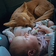 Baylee is registered to the contest to win money with this photo: baby, infant, child, dog, puppy, sleeping, lying_down, pet, animal, car_seat, blanket, pink_clothing, indoor, vehicle, cozy, portrait, close_up, fluffy, companion, travel