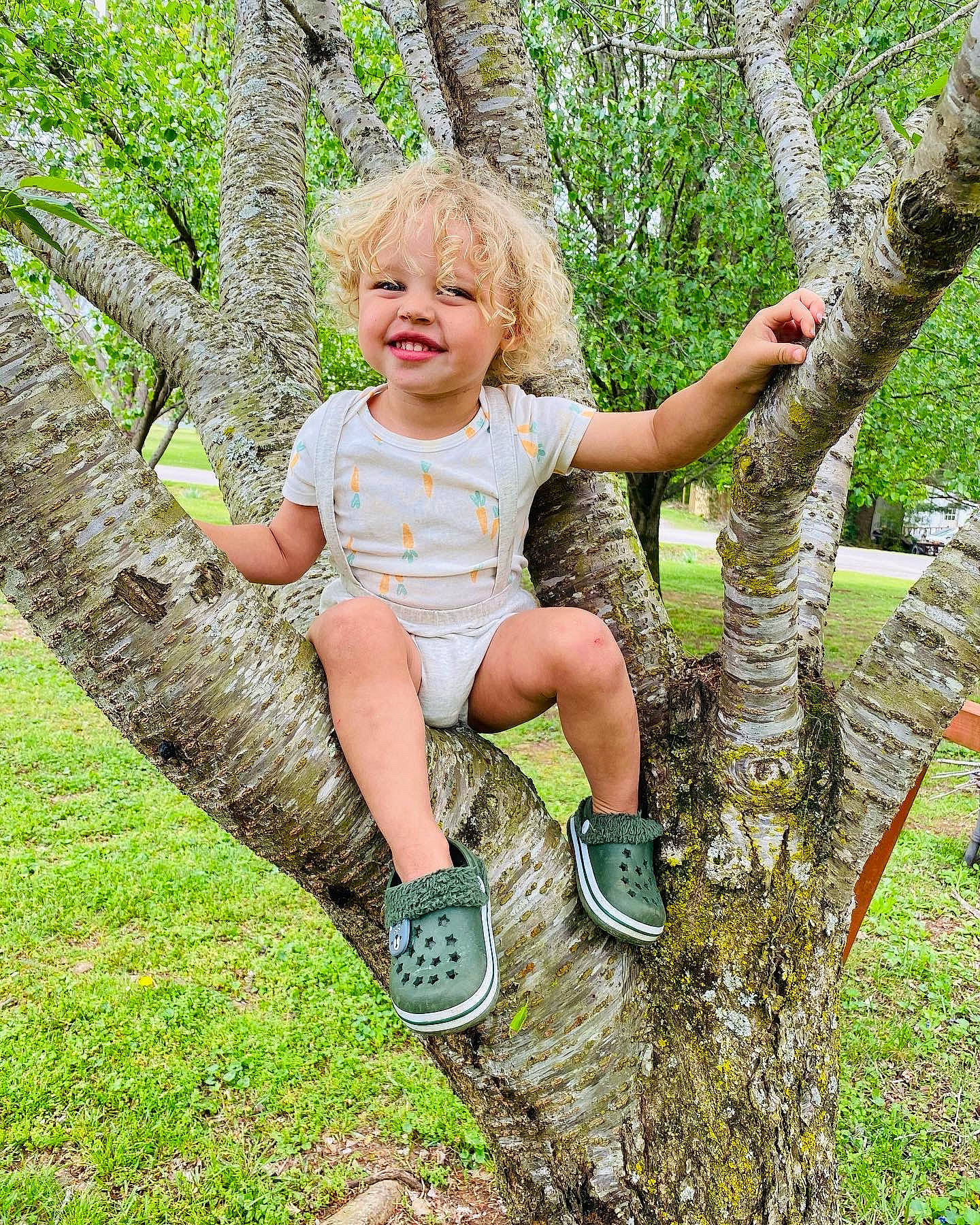 Jasiah joined the competition — help win amazing prizes! baby_toddler_clothing, botany, branch, eye, forest, grass, happy, joy, leaf, leisure, people_in_nature, person, plant, shoe, smile, sneakers, terrestrial_plant, thigh, toddler, tree