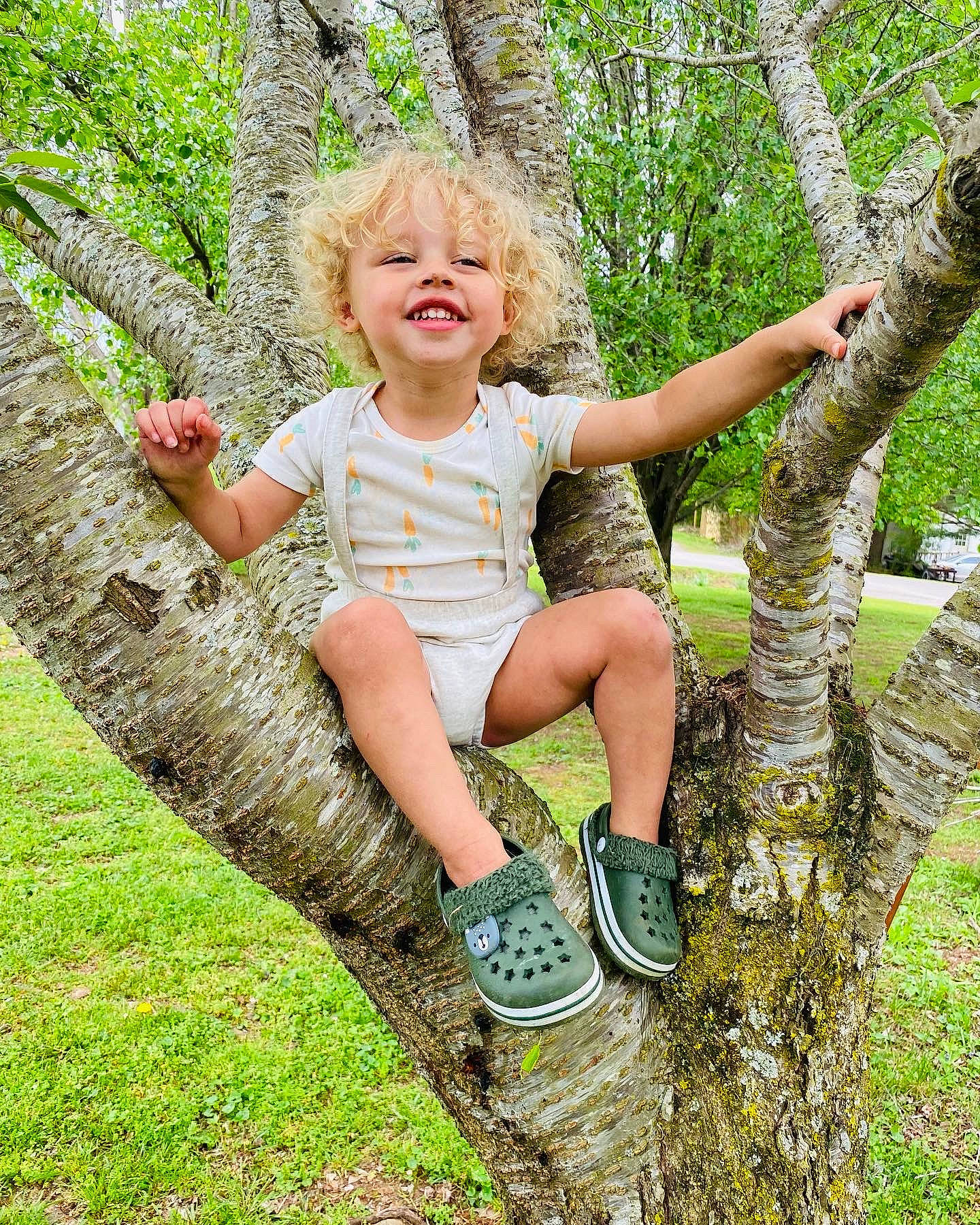 Jasiah is registered to the contest to win money with this photo: baby_toddler_clothing, botany, forest, grass, groundcover, happy, joy, leaf, leisure, mammal, natural_landscape, people_in_nature, person, plant, smile, terrestrial_plant, thigh, toddler, tree, trunk
