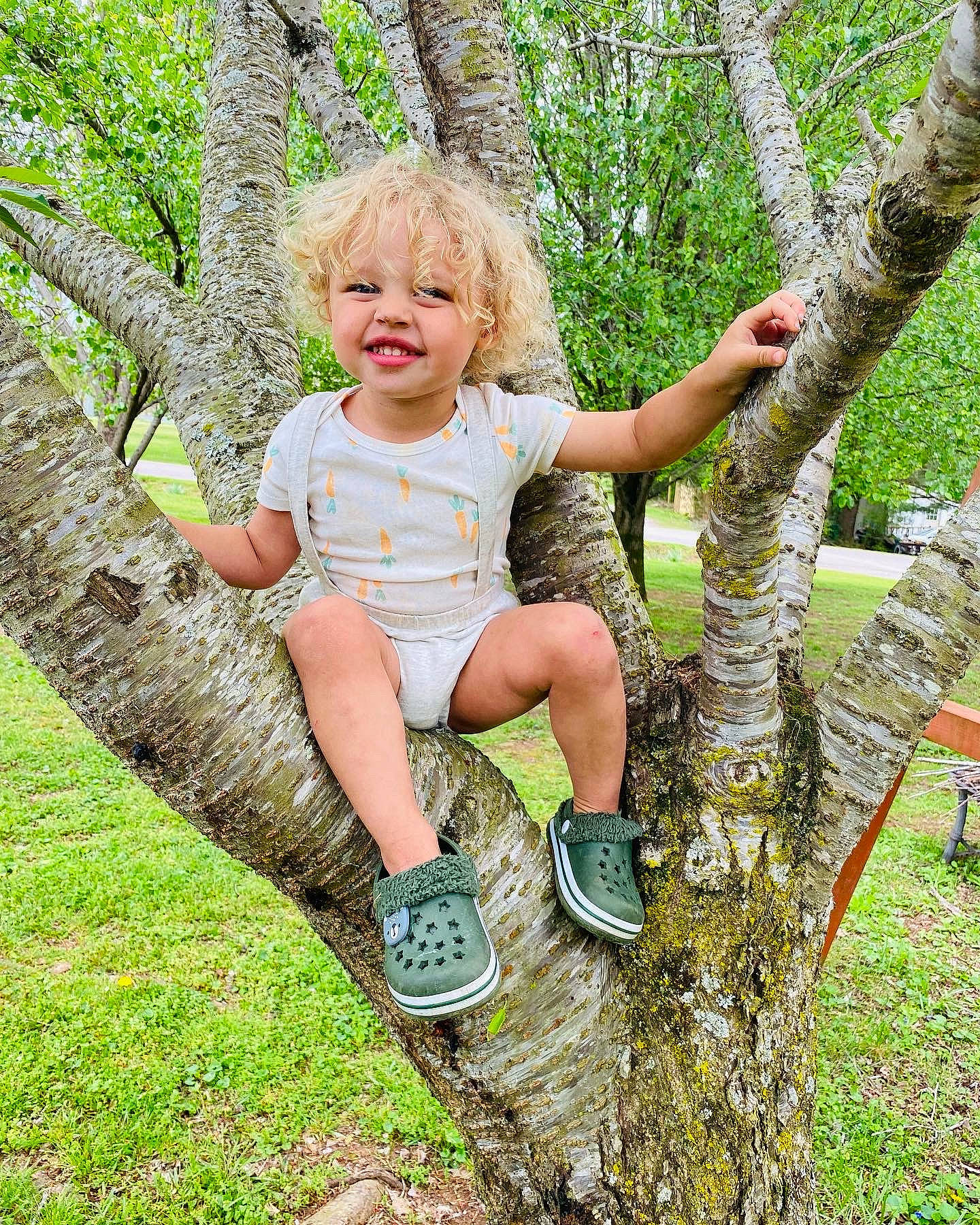 Jasiah joined the competition — help win amazing prizes! adaptation, baby_toddler_clothing, botany, branch, grass, happy, joy, leaf, leisure, mammal, people_in_nature, person, plant, shoe, smile, sneakers, terrestrial_plant, thigh, tree, trunk