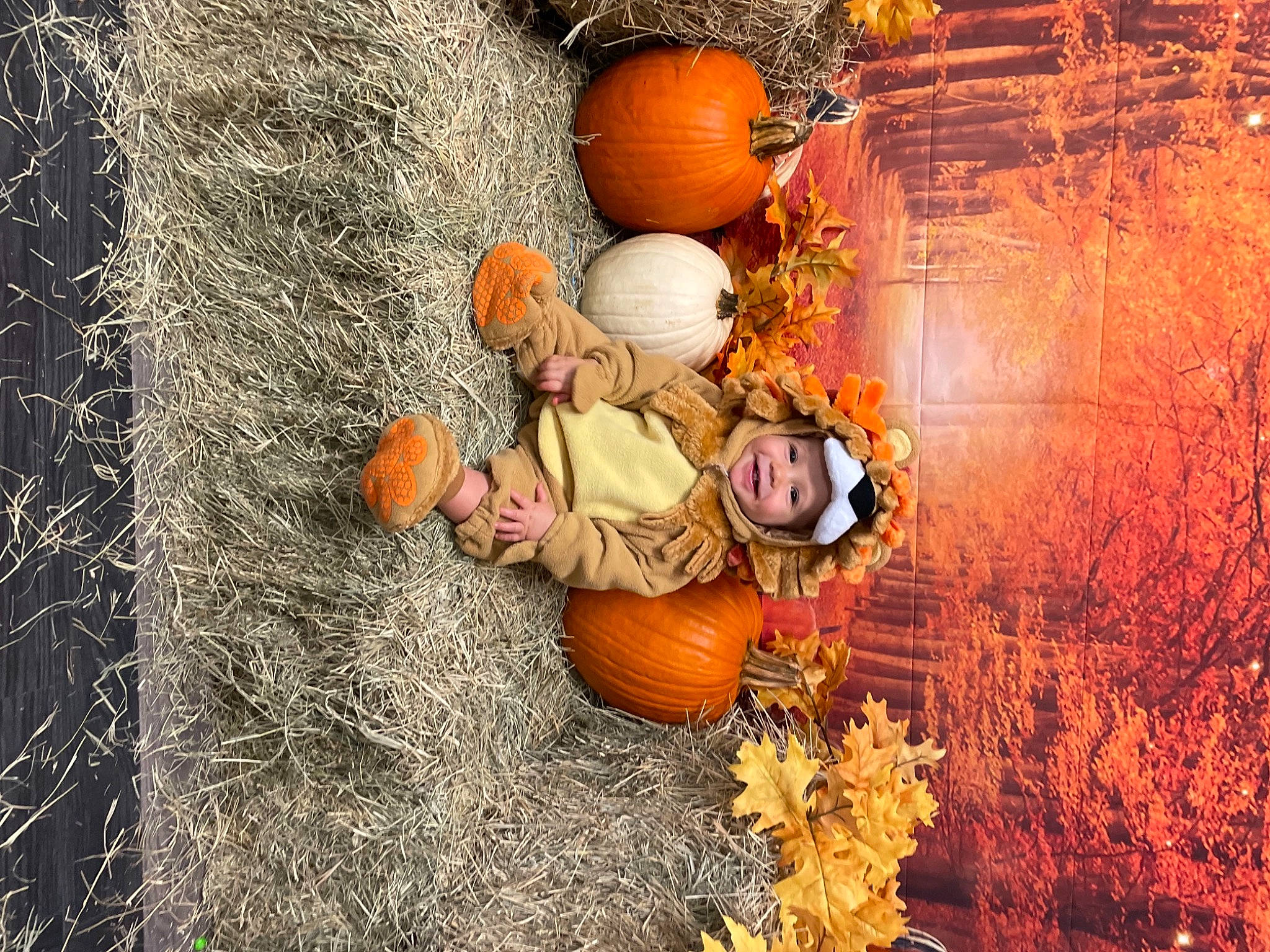 Charles joined the competition — help win amazing prizes! art, calabaza, cucurbita, event, eye, fruit, gourd, grass, hat, headwear, joy, local_food, natural_foods, orange, organism, person, plant, pumpkin, squash, tradition