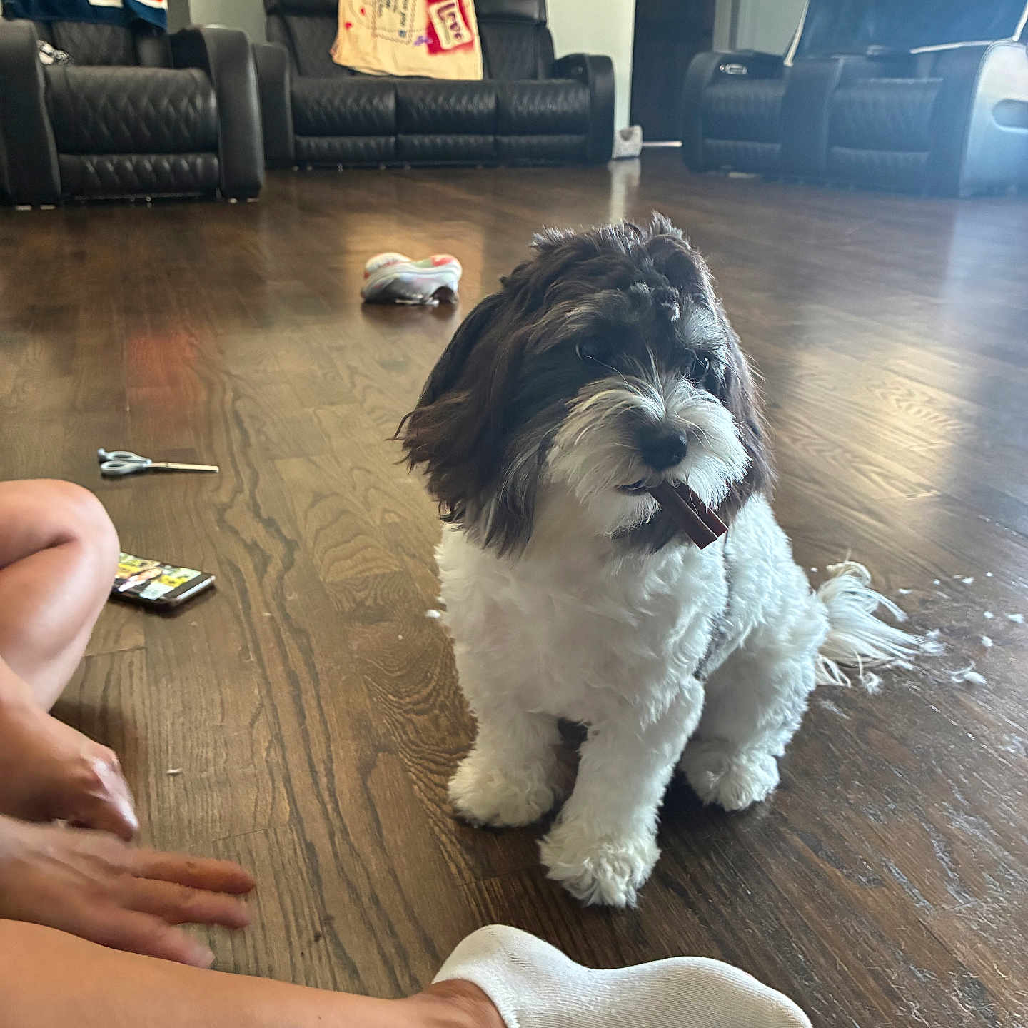 Muñeca
