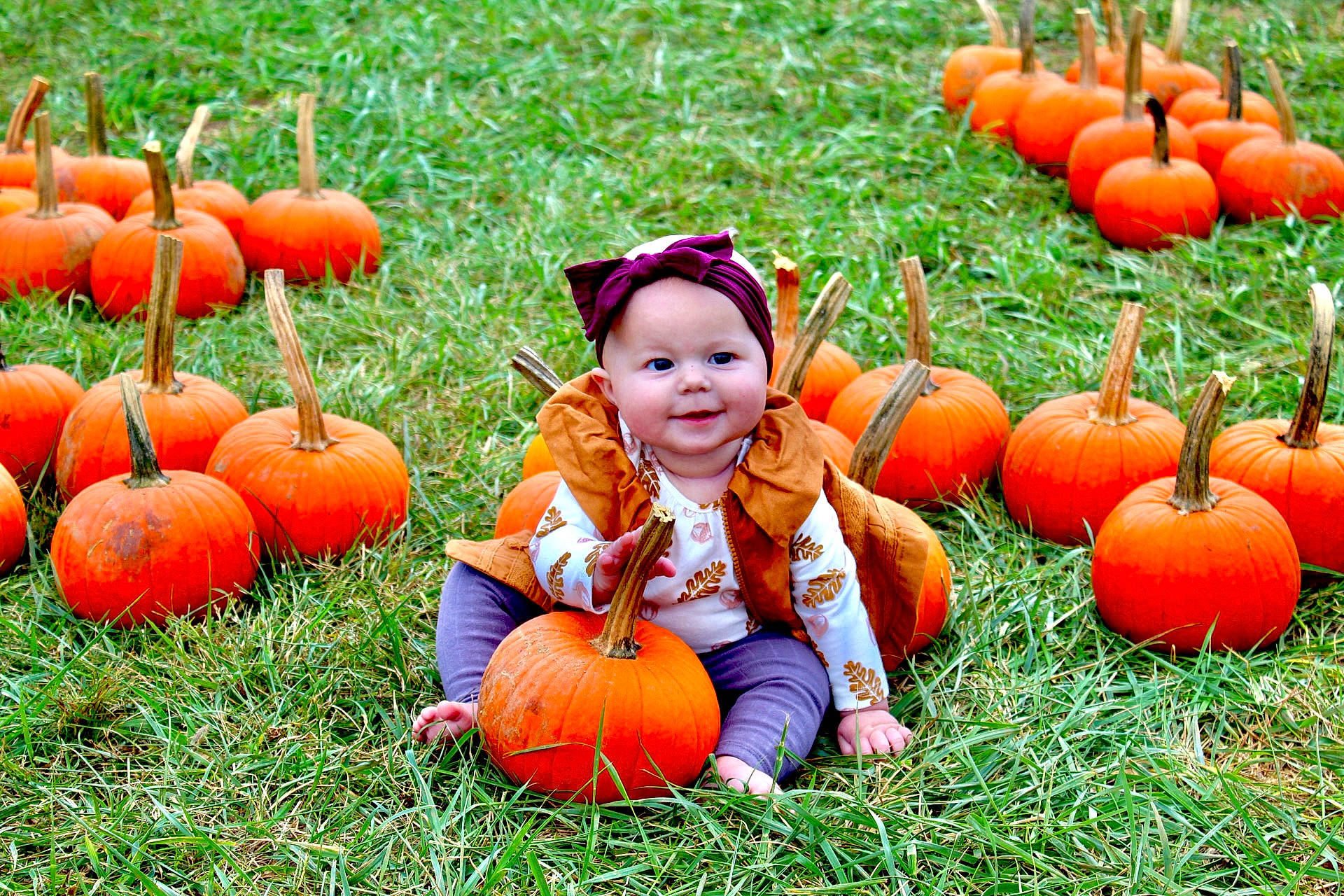 Wynonna joined the competition — help win amazing prizes! botany, calabaza, clothing, cucurbita, face, grass, green, happy, headwear, joy, leaf, mammal, natural_foods, nature, orange, people_in_nature, person, photograph, plant, pumpkin