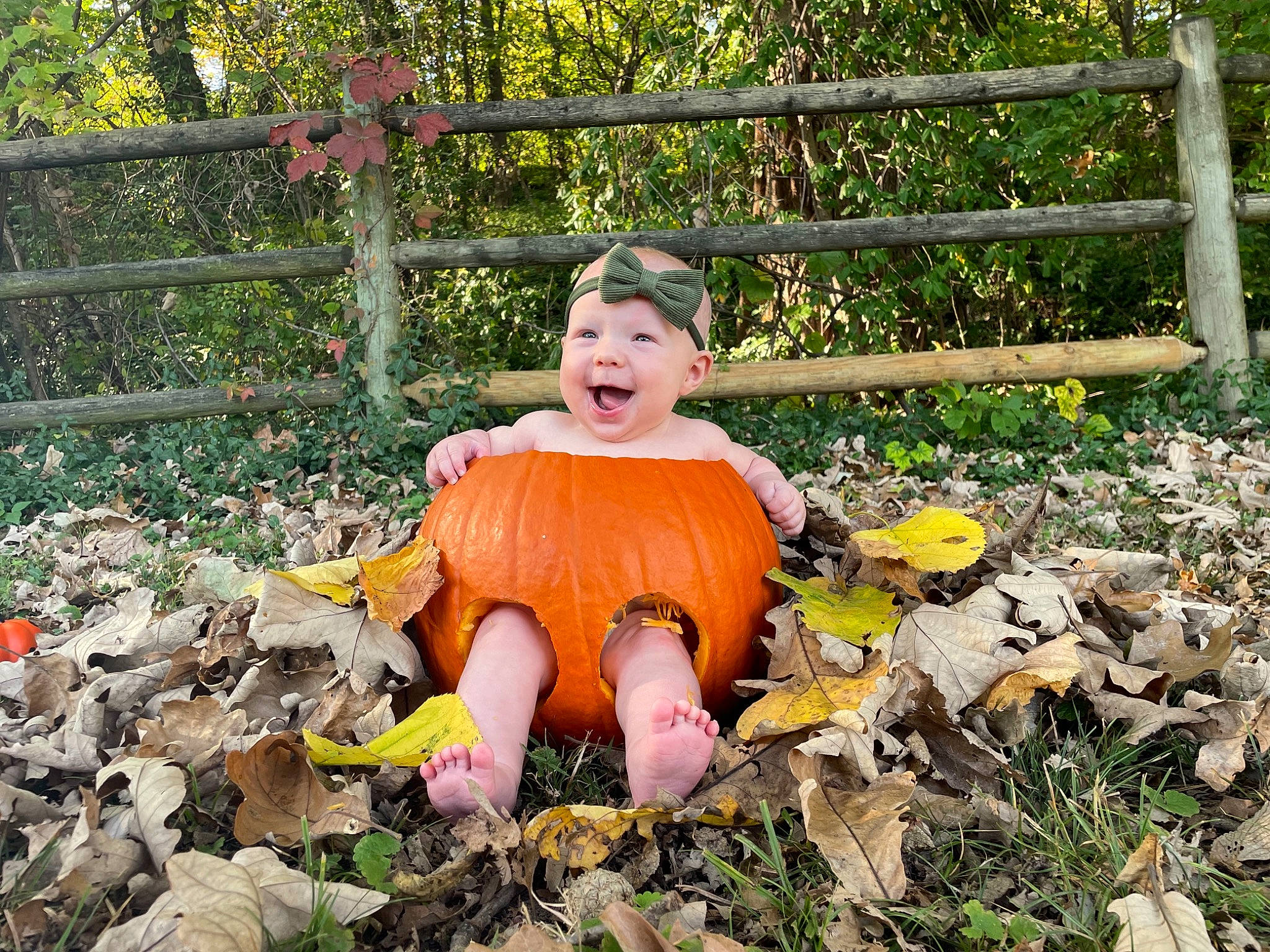 Adelaide is registered to the contest to win money with this photo: baby_toddler_clothing, botany, dress, eye, face, fawn, fence, grass, happy, hat, head, headwear, leaf, people_in_nature, person, plant, pumpkin, smile, toddler, tree