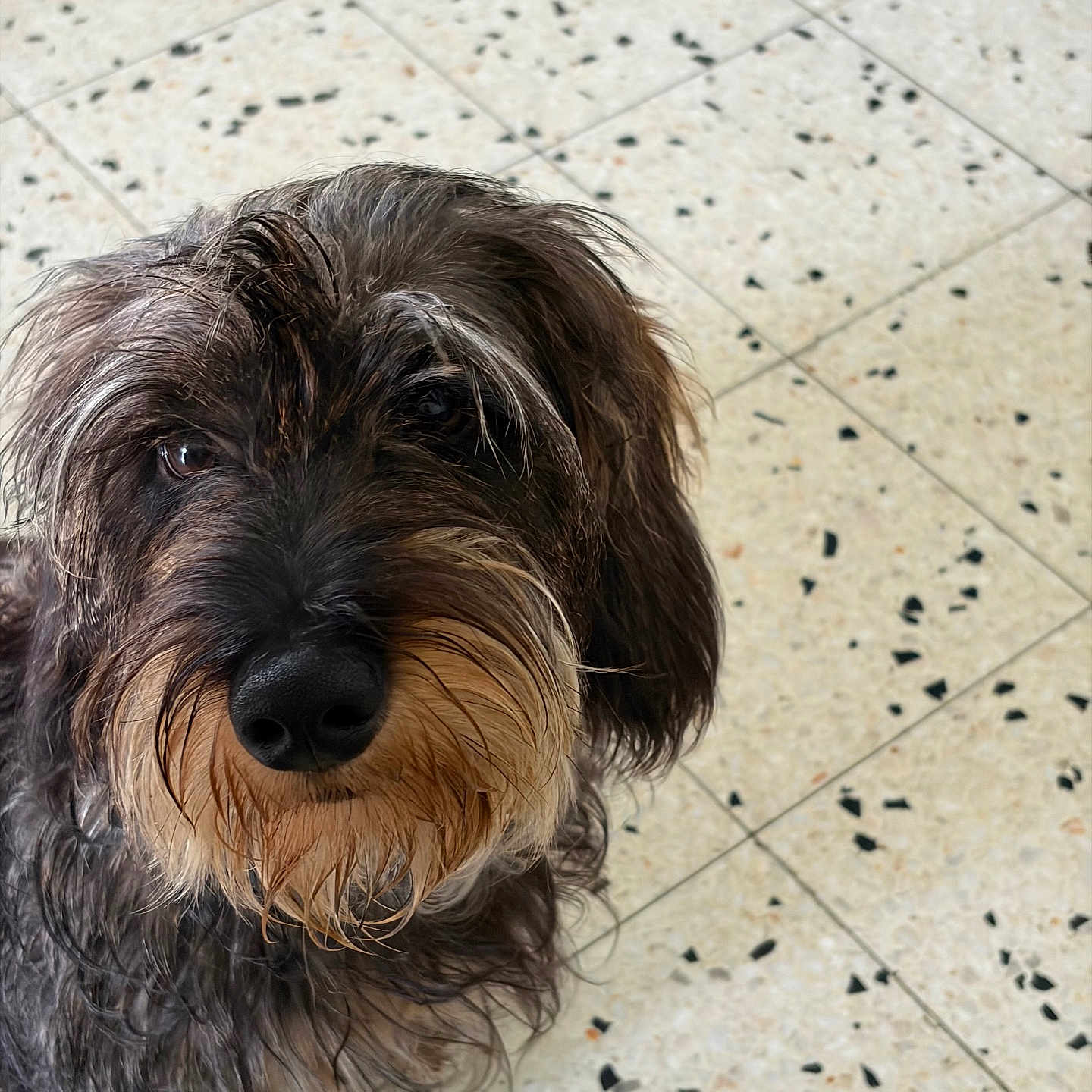 Achille