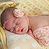 baby, blanket, closeup, cozy, cute, delicate, flower, headband, indoors, infant, newborn, peaceful, pillow, pink_lace, portrait, resting, sleep, sleeping, soft_texture, warm_lighting