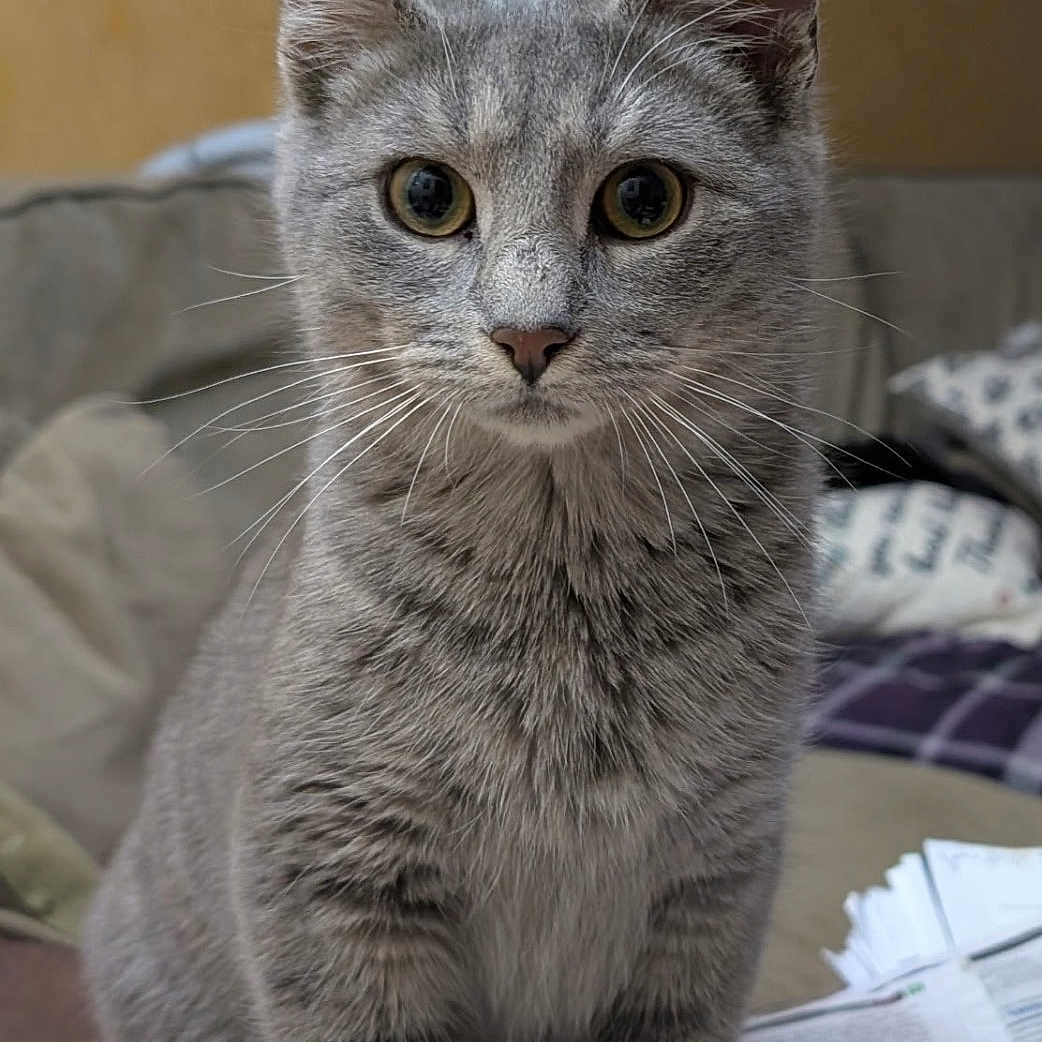 Smokey