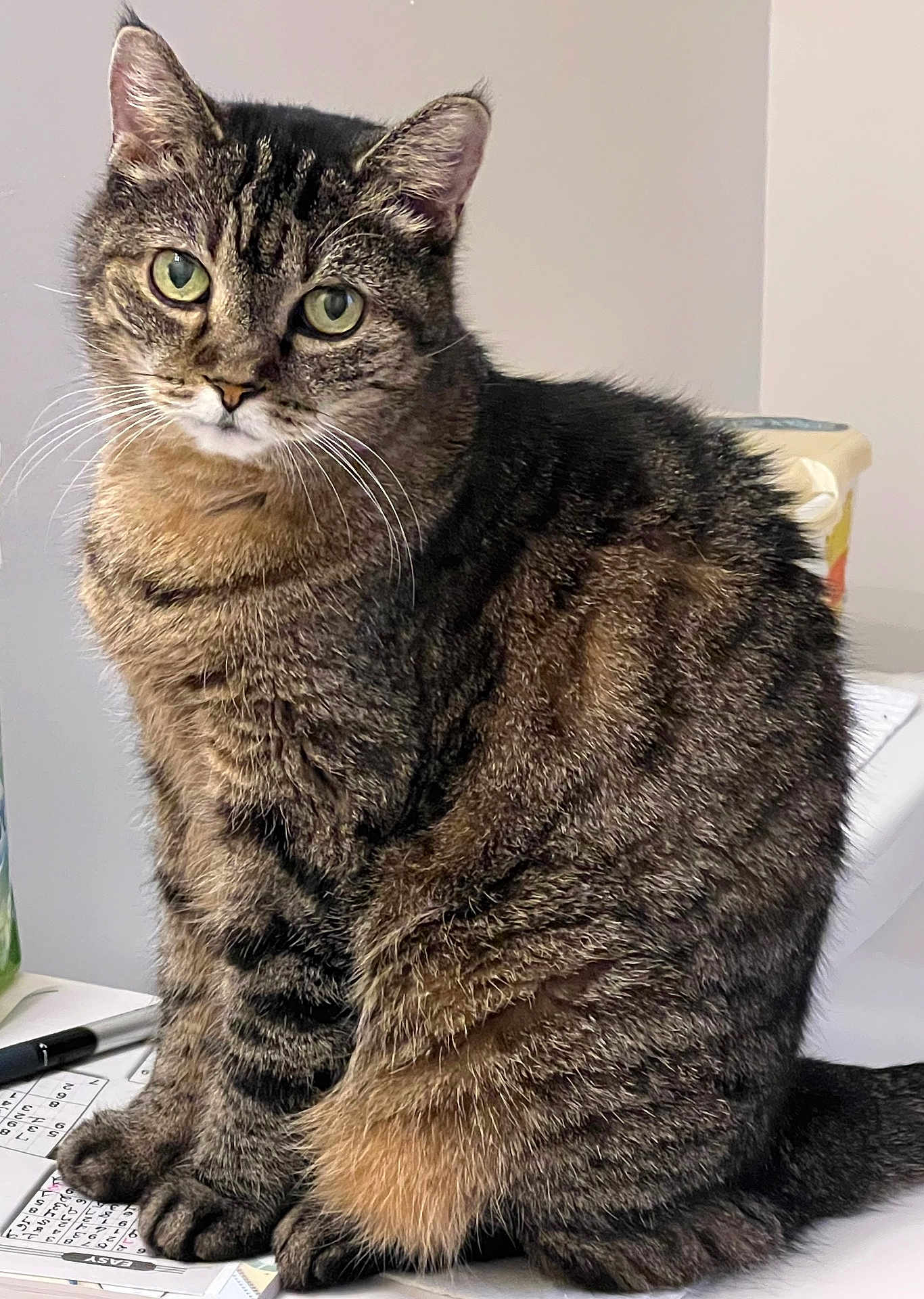 Zoe