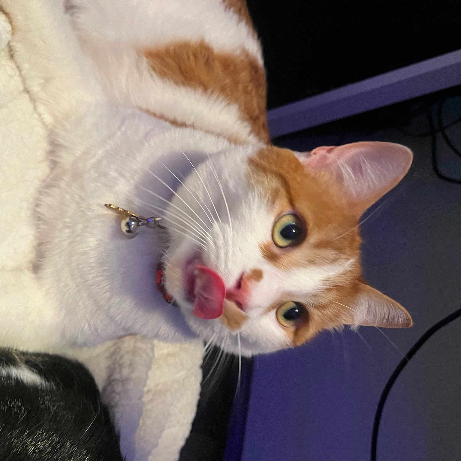 Creamsicle
