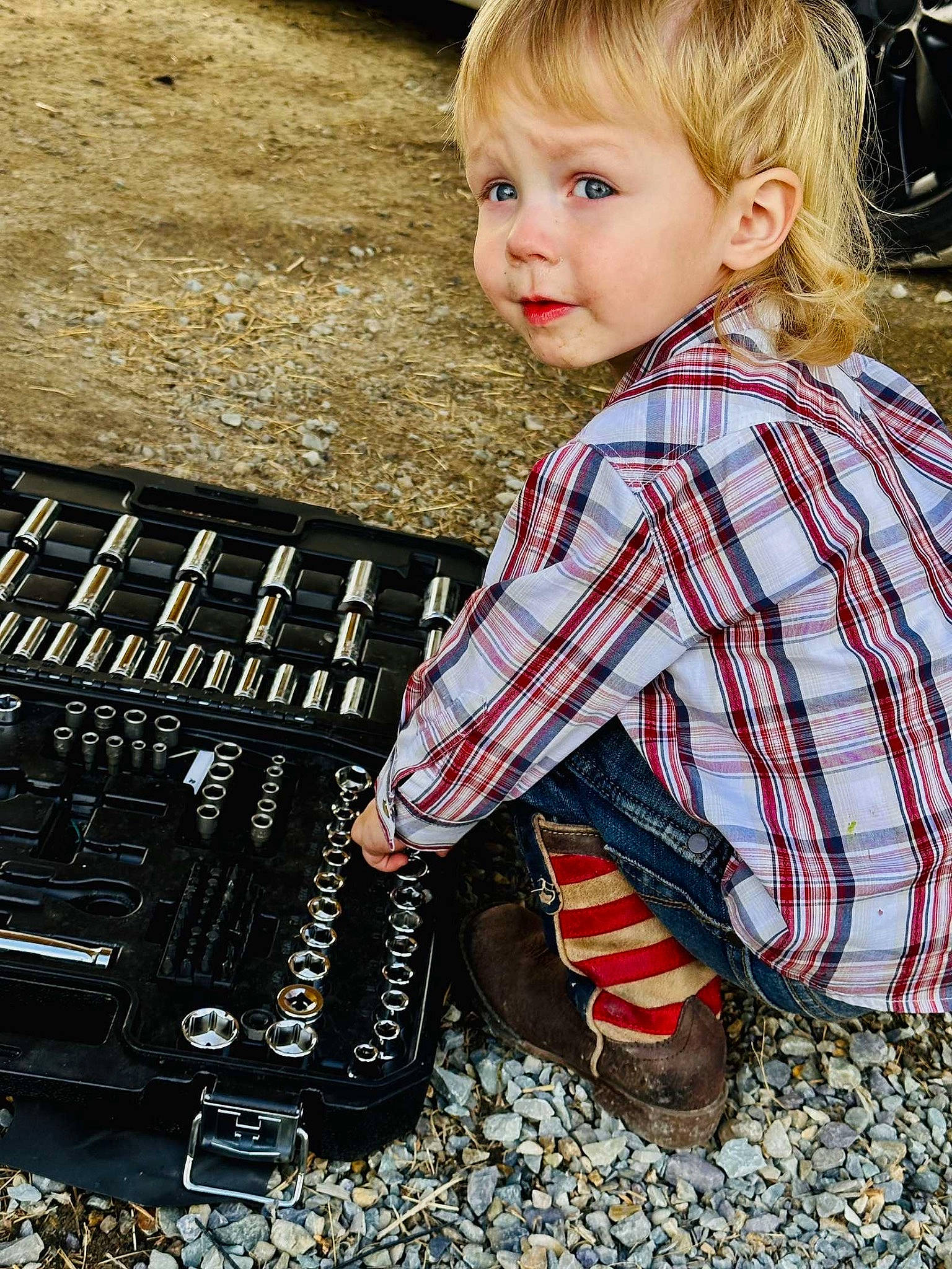 Remington joined the competition — help win amazing prizes! baby_toddler_clothing, carmine, child, cobblestone, fun, grass, human, office_equipment, pattern, person, photograph, plaid, play, portrait_photography, sitting, sleeve, soil, t_shirt, tartan, toddler