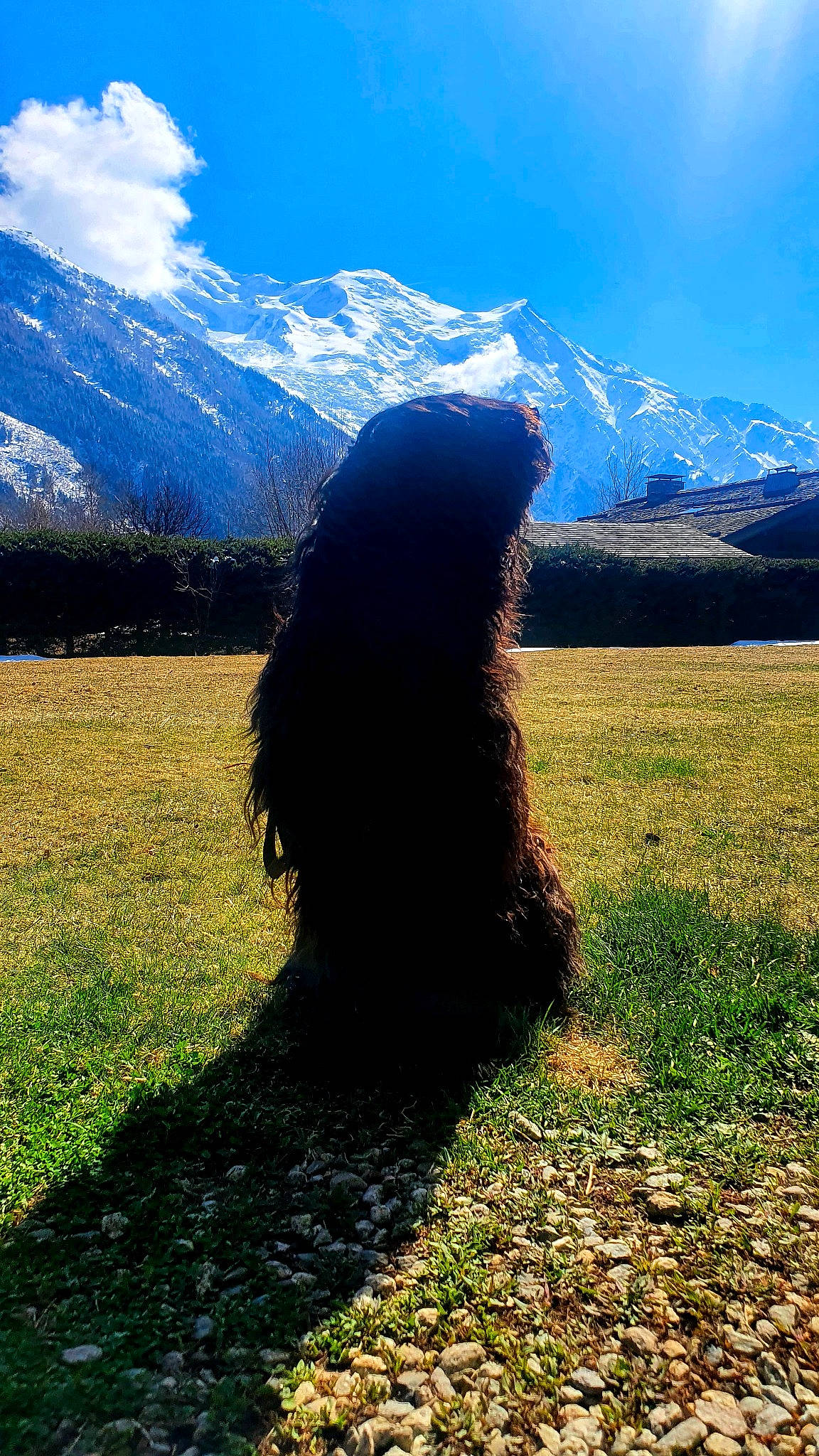 Gali a rejoint le concours — aidez-le/la à gagner de superbes lots ! cloud, grass, grass_family, grassland, highland, hill, landscape, meadow, mountain, mountain_range, mountainous_landforms, natural_landscape, pasture, people_in_nature, plant, sky, snow, sunlight, tints_and_shades, tree