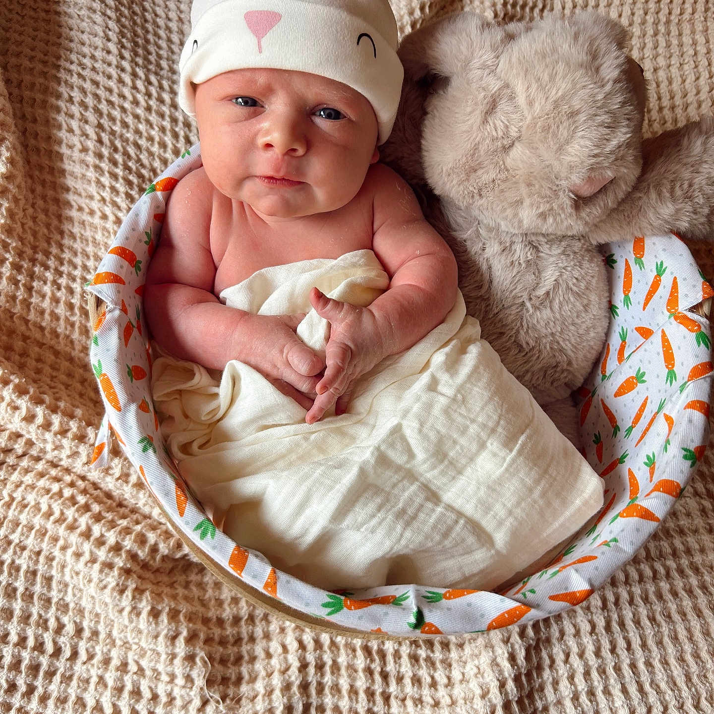 Colsen joined the competition — help win amazing prizes! baby, basket, bed, blanket, bonnet, cap, clothing, crib, face, furniture, hat, head, homedecor, infantbed, newborn, person, photography, portrait, quilt, sleeping