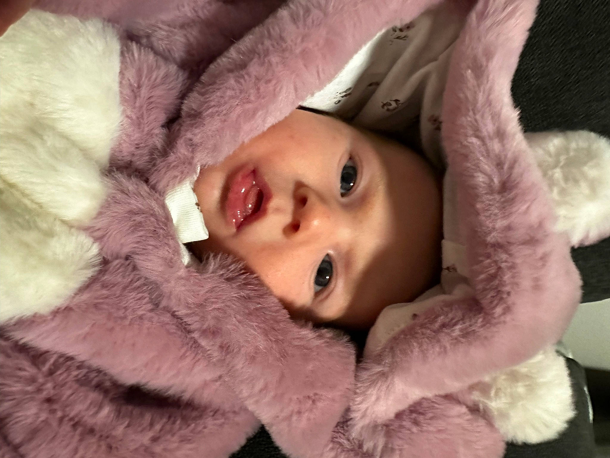 Anastasia is registered to the contest to win money with this photo: animal_product, cheek, close_up, comfort, ear, eye, eyebrow, eyelash, flash_photography, fur_clothing, gesture, head, headwear, iris, lip, neck, nose, person, pink, skin