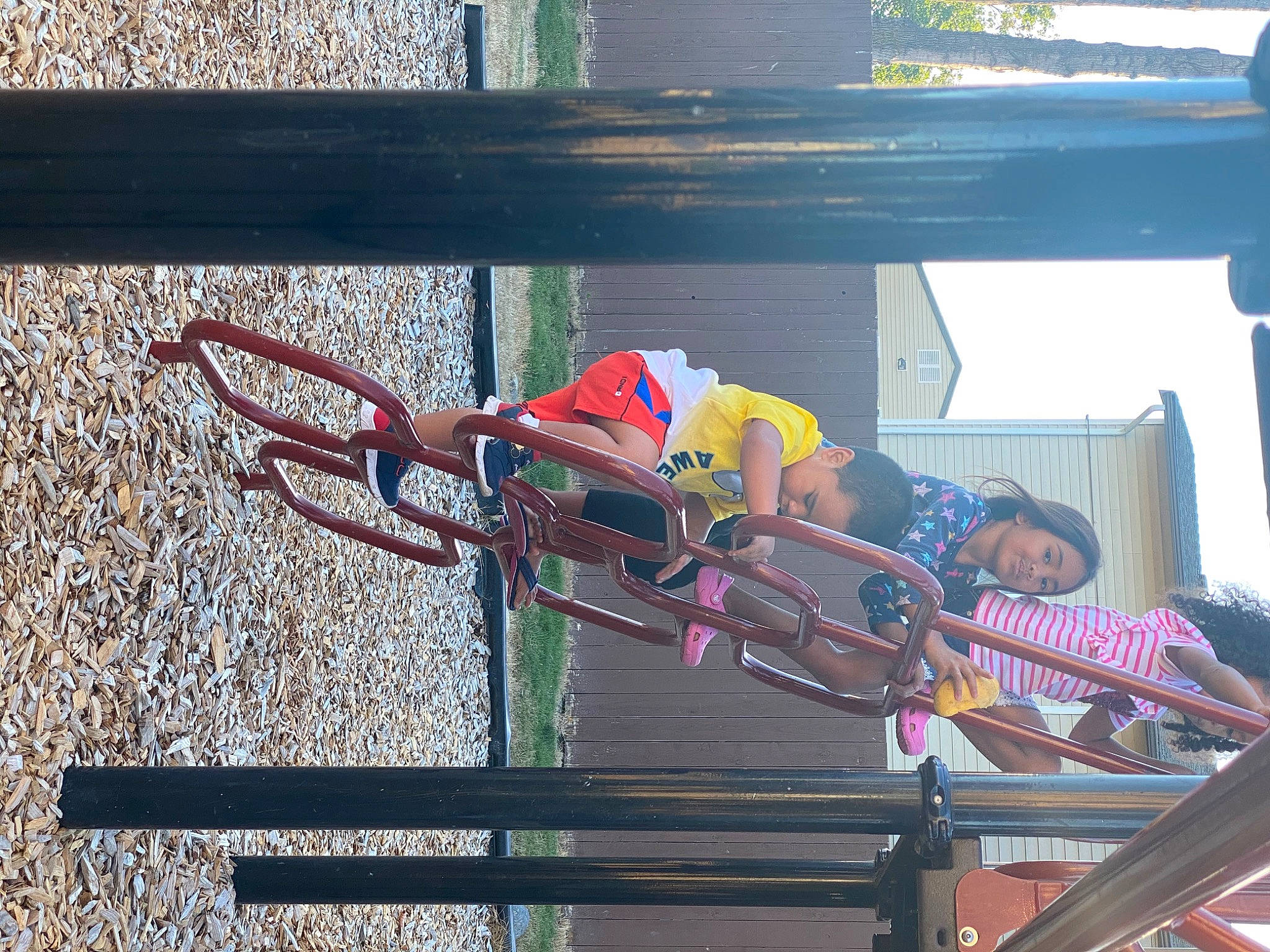 Lauti Junior joined the competition — help win amazing prizes! person, plant, tree